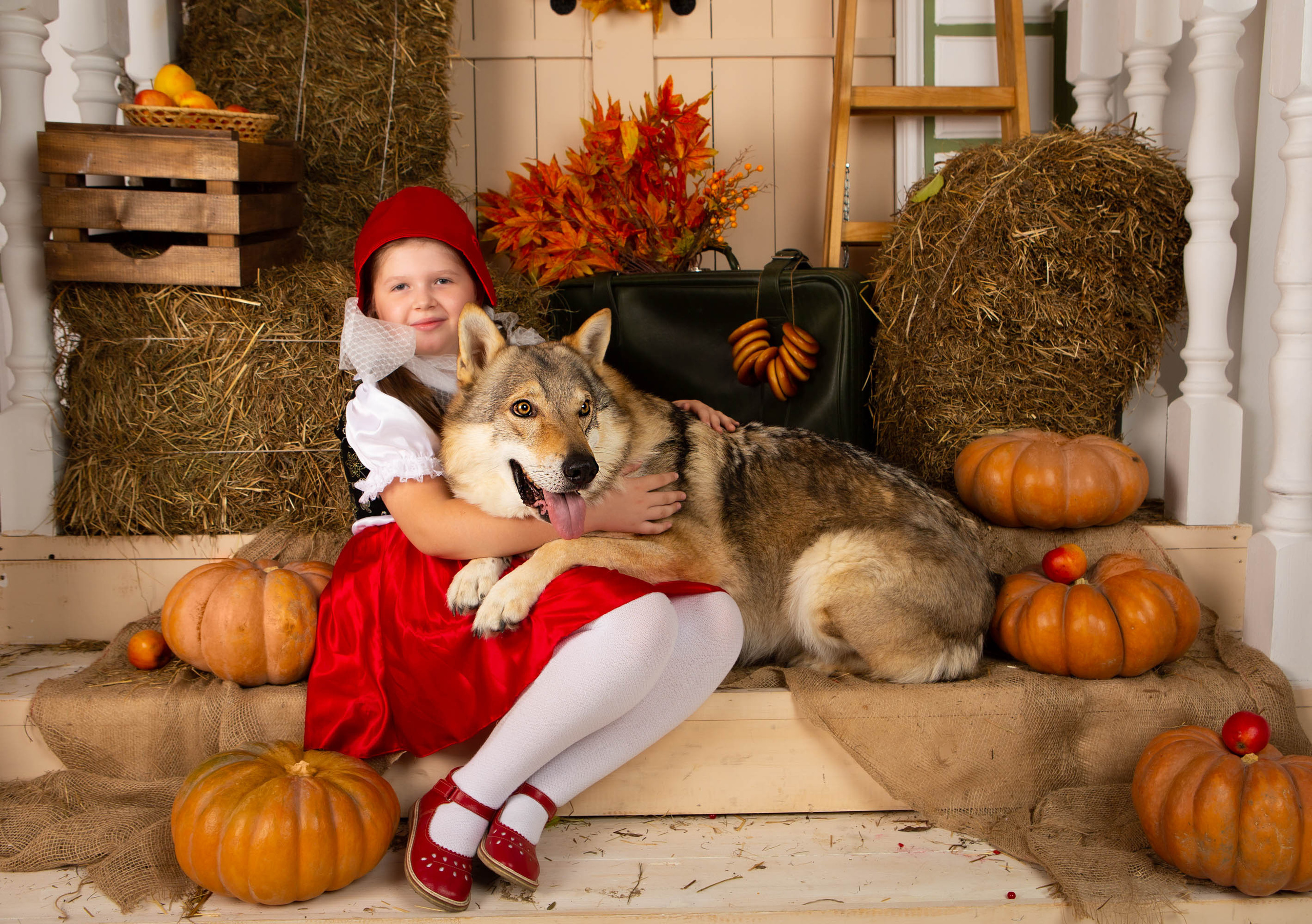 Конкурс «Дары осени» Василиса. Фотограф Абакумова Анастасия