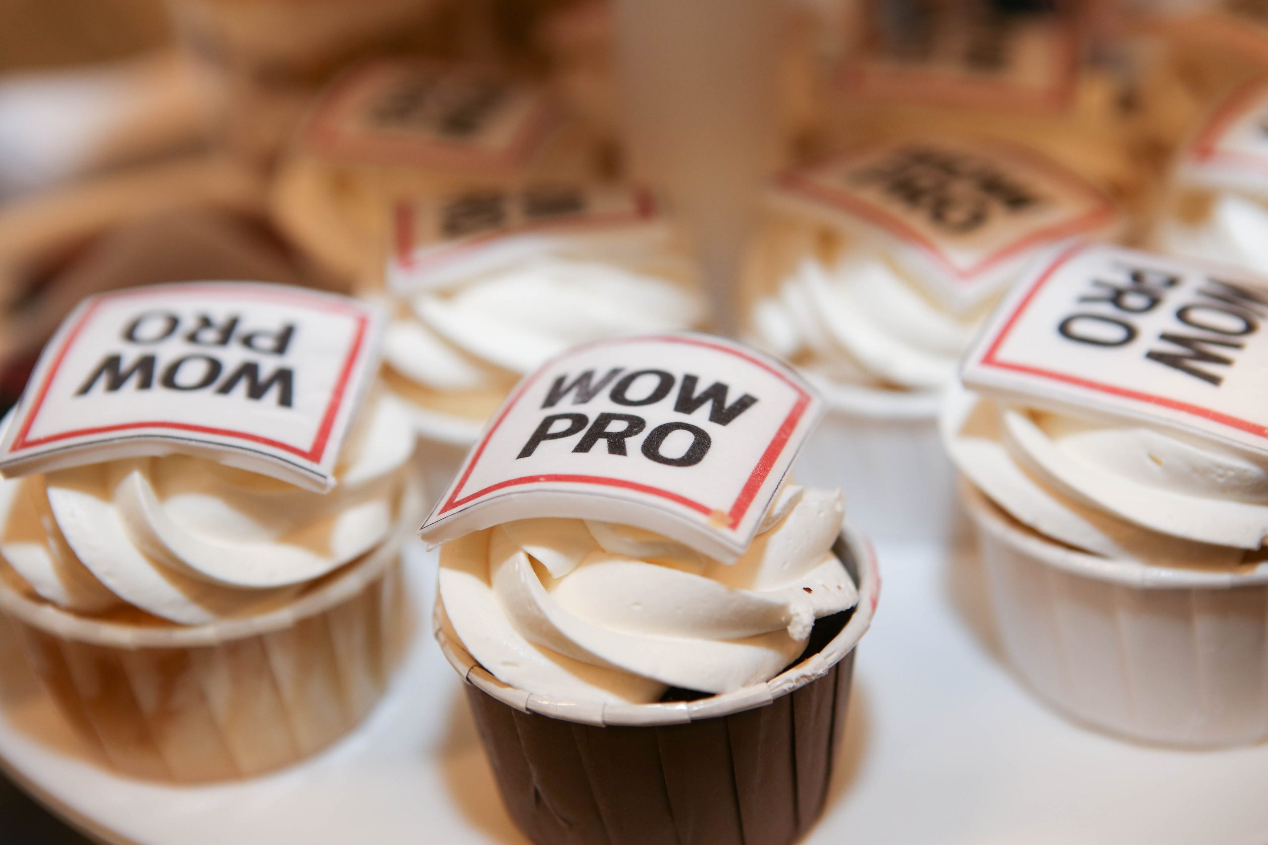 WOW PRO | Норникель, VK, ТехноНИКОЛЬ, Газпромнефть-Заполярье, КОМУС, Спортмастер. Фотограф Абакумова Анастасия