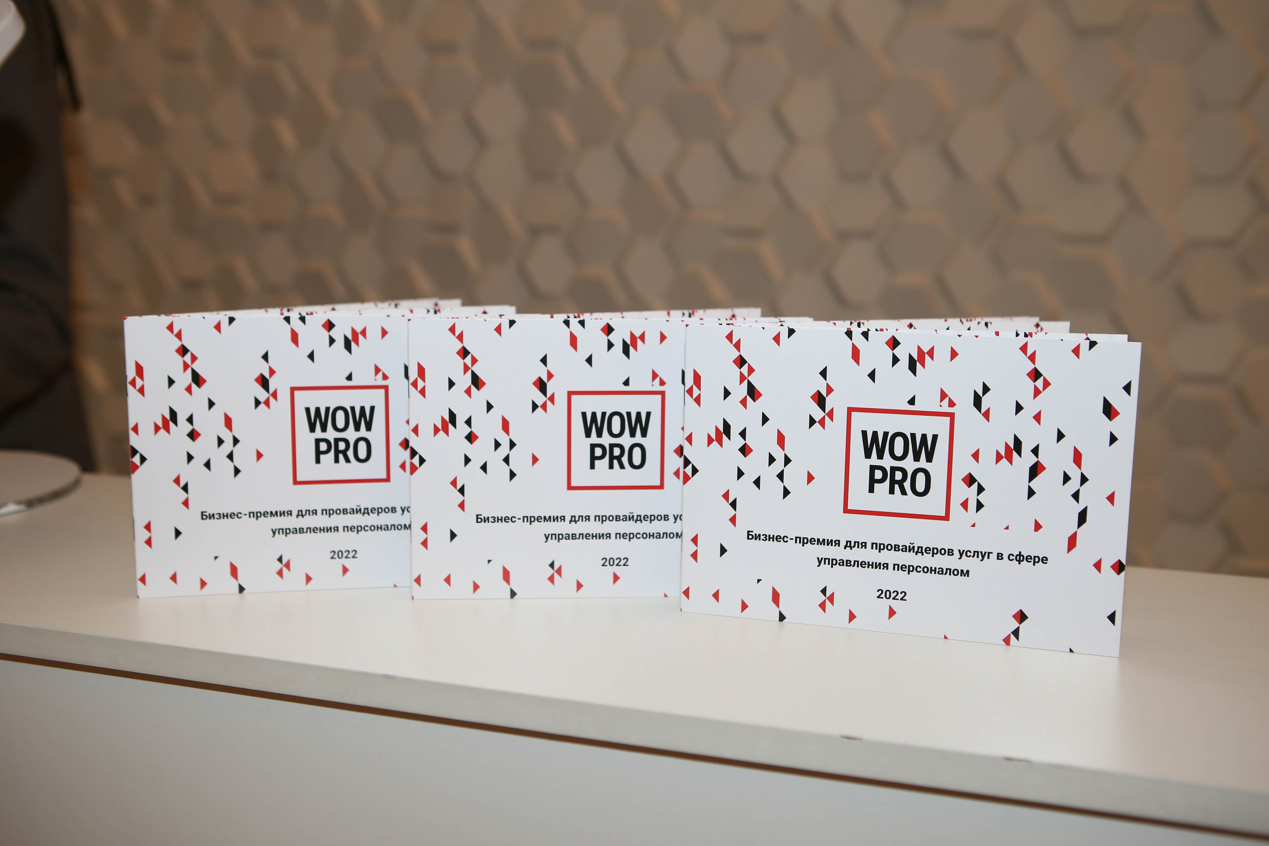 WOW PRO | Норникель, VK, ТехноНИКОЛЬ, Газпромнефть-Заполярье, КОМУС, Спортмастер. Фотограф Абакумова Анастасия