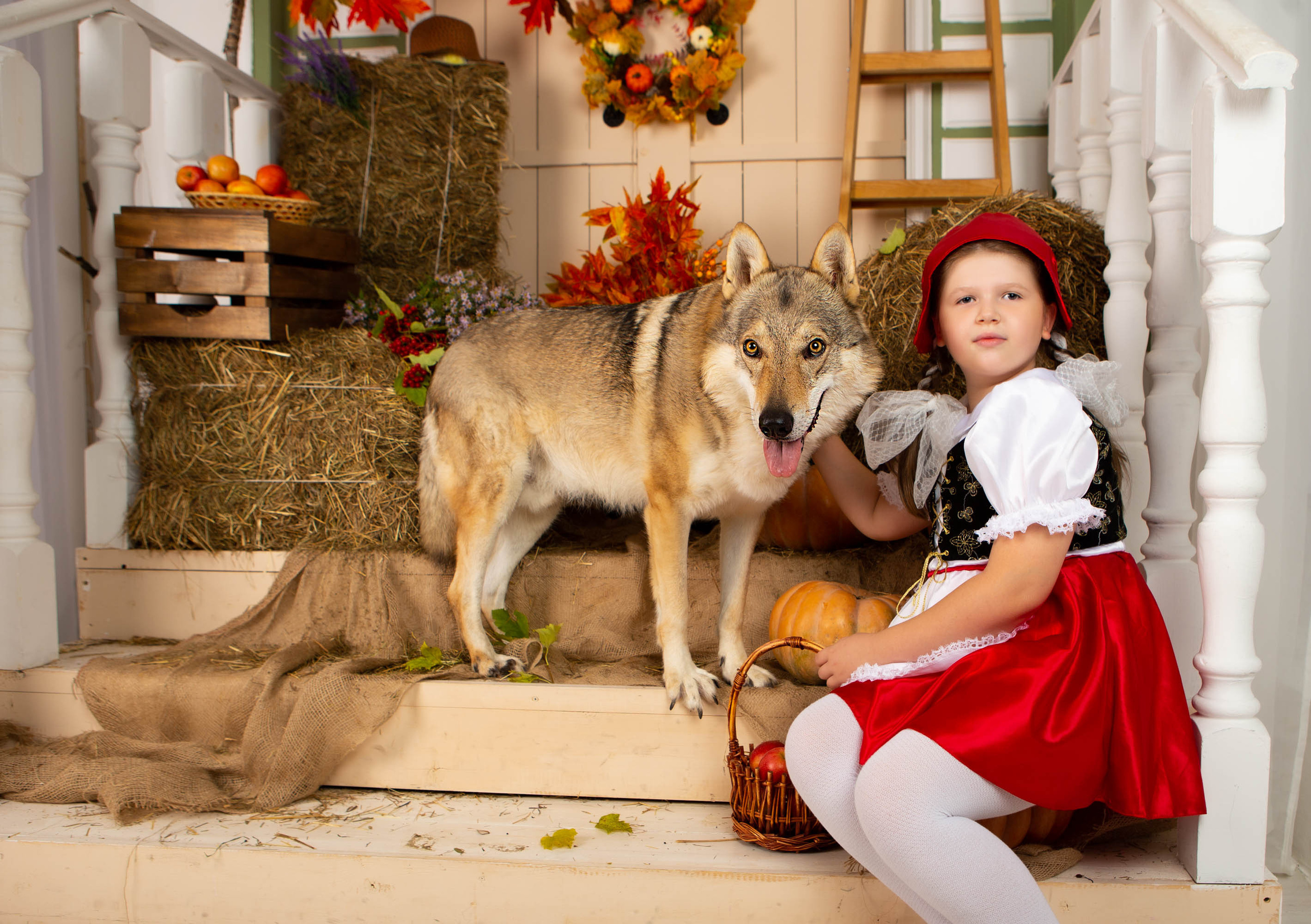 Конкурс «Дары осени» Василиса. Фотограф Абакумова Анастасия