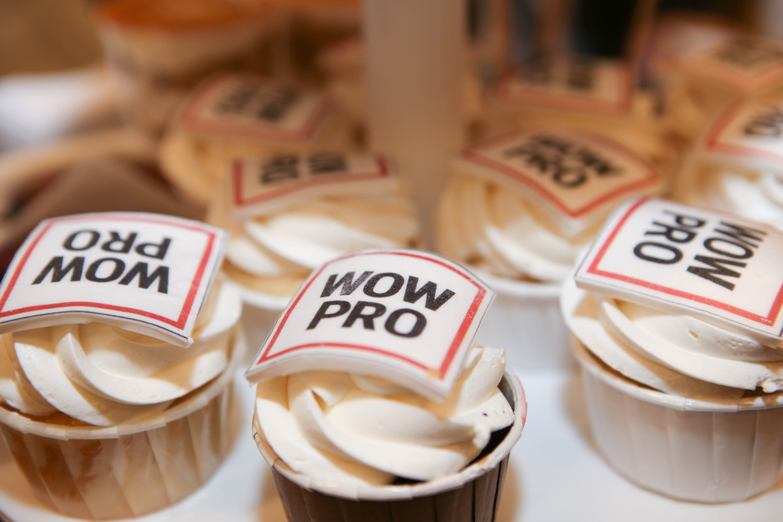 WOW PRO | Норникель, VK, ТехноНИКОЛЬ, Газпромнефть-Заполярье, КОМУС, Спортмастер. Фотограф Абакумова Анастасия