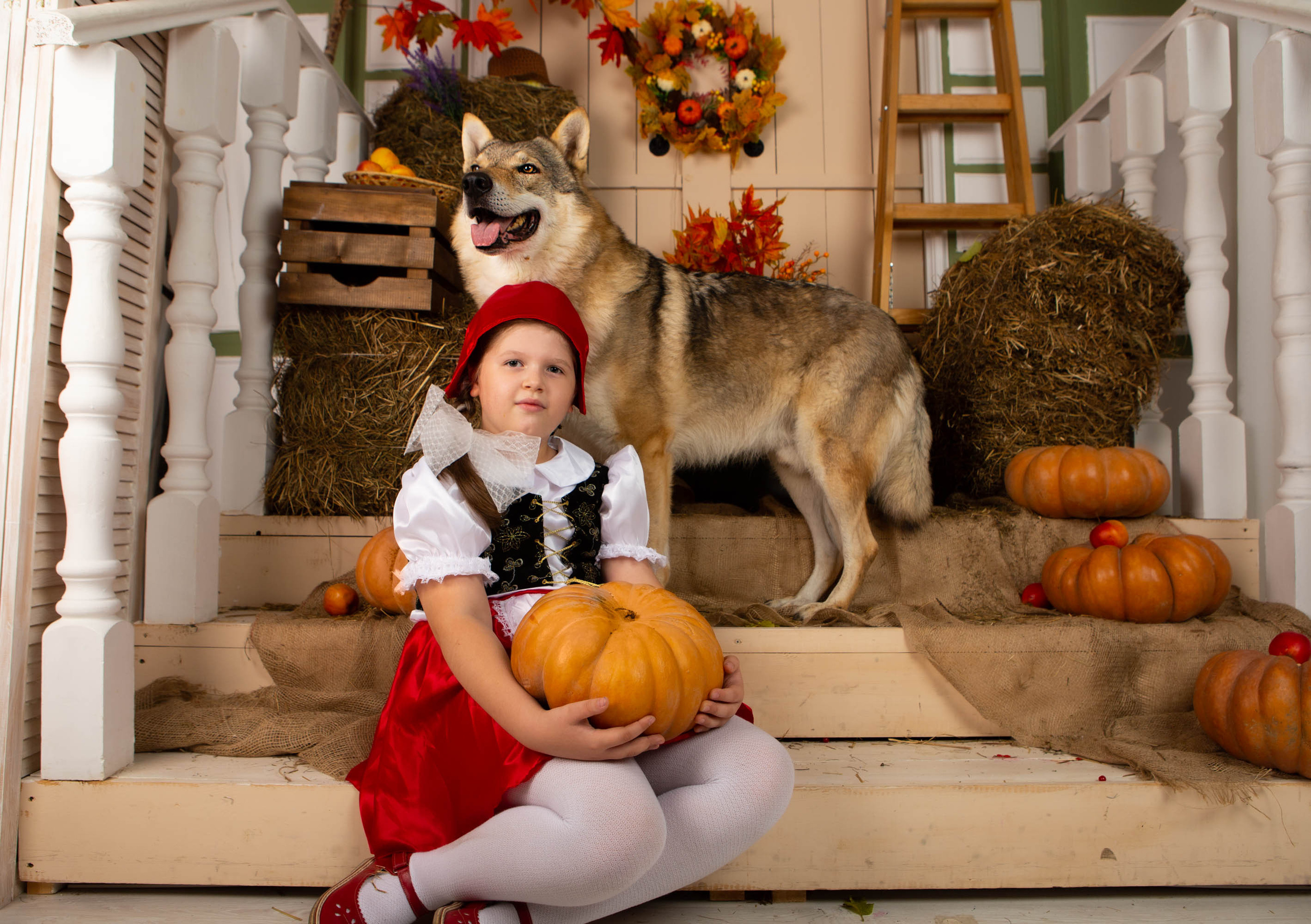 Конкурс «Дары осени» Василиса. Фотограф Абакумова Анастасия
