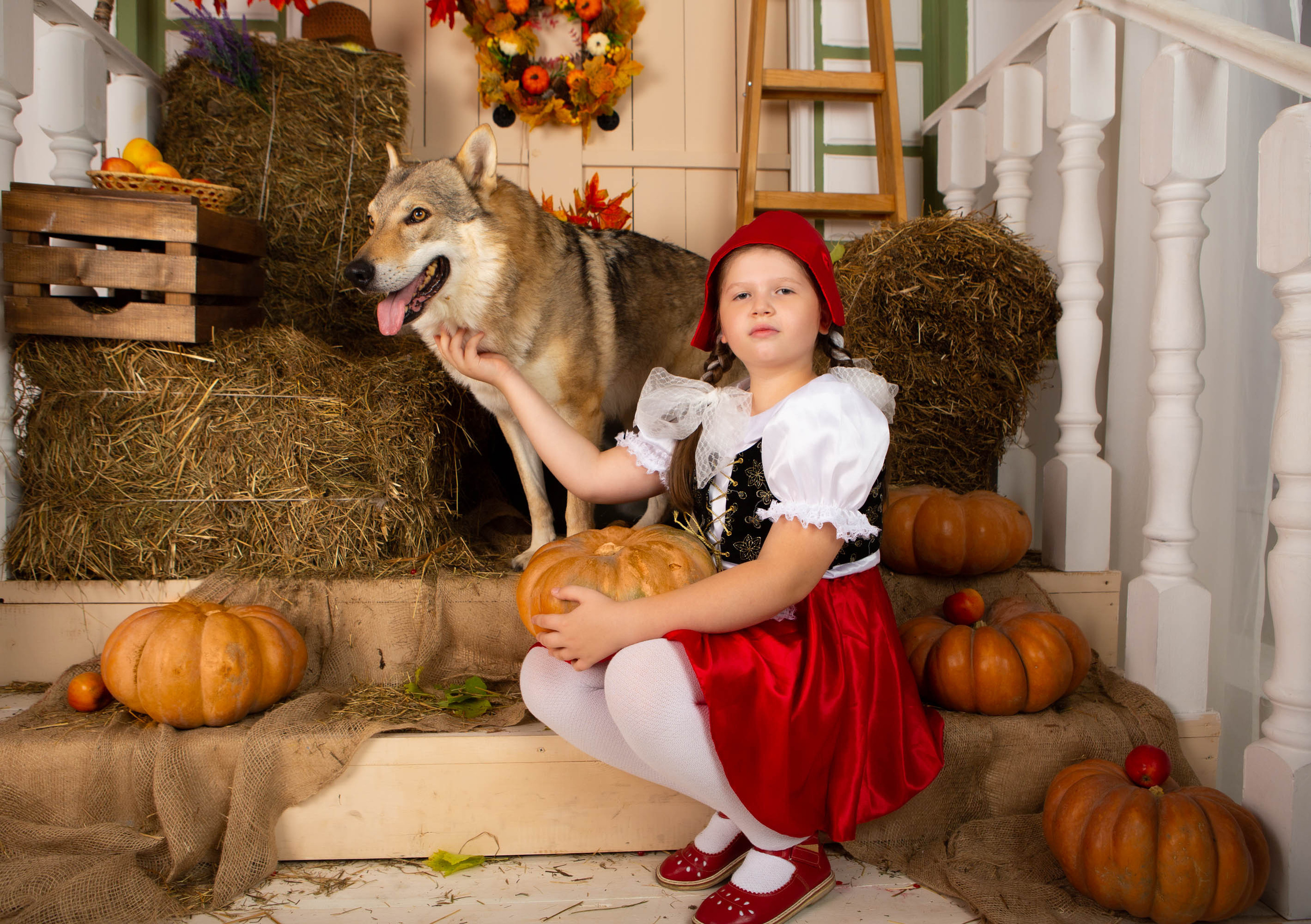 Конкурс «Дары осени» Василиса. Фотограф Абакумова Анастасия