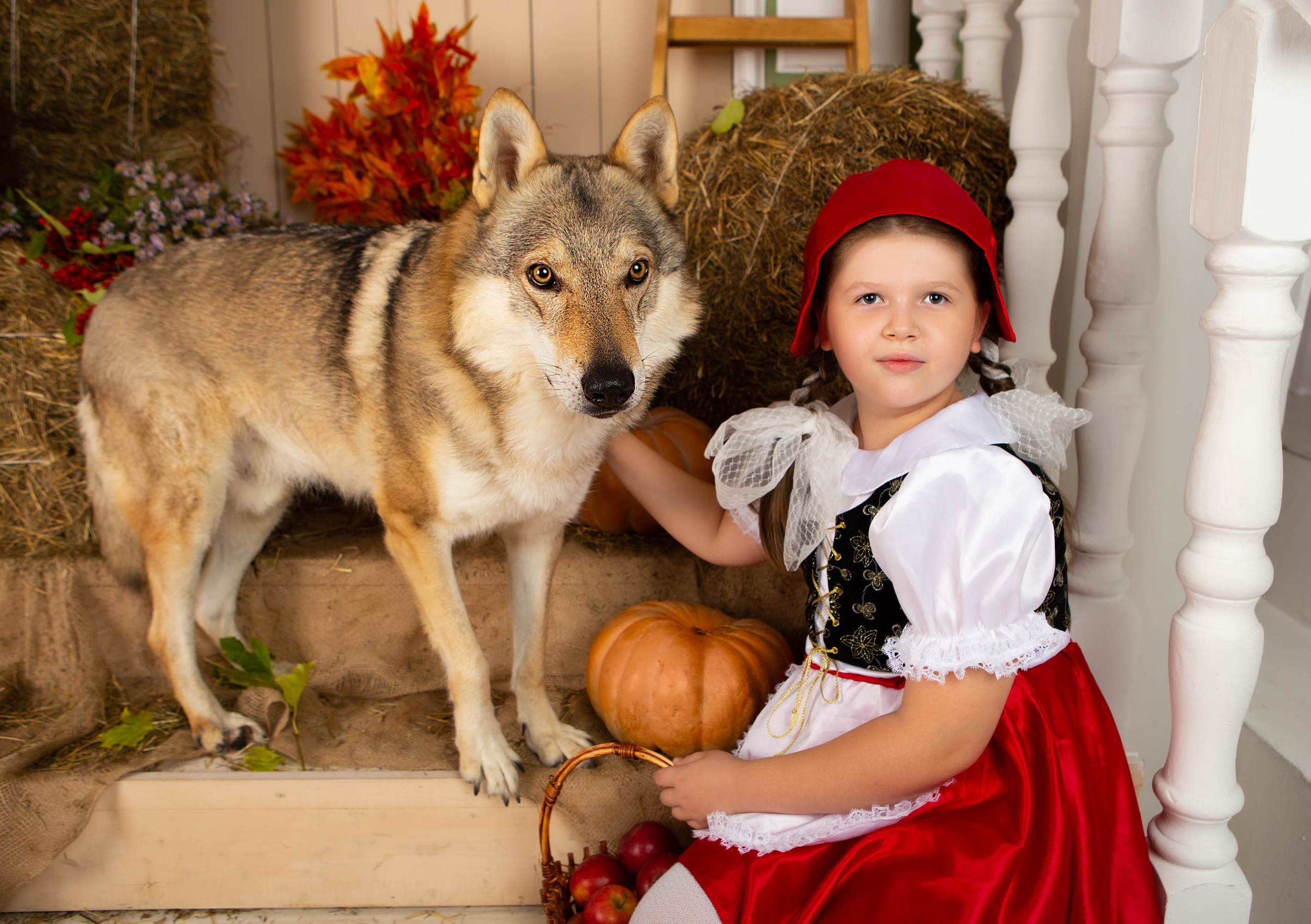 Конкурс «Дары осени» Василиса. Фотограф Абакумова Анастасия