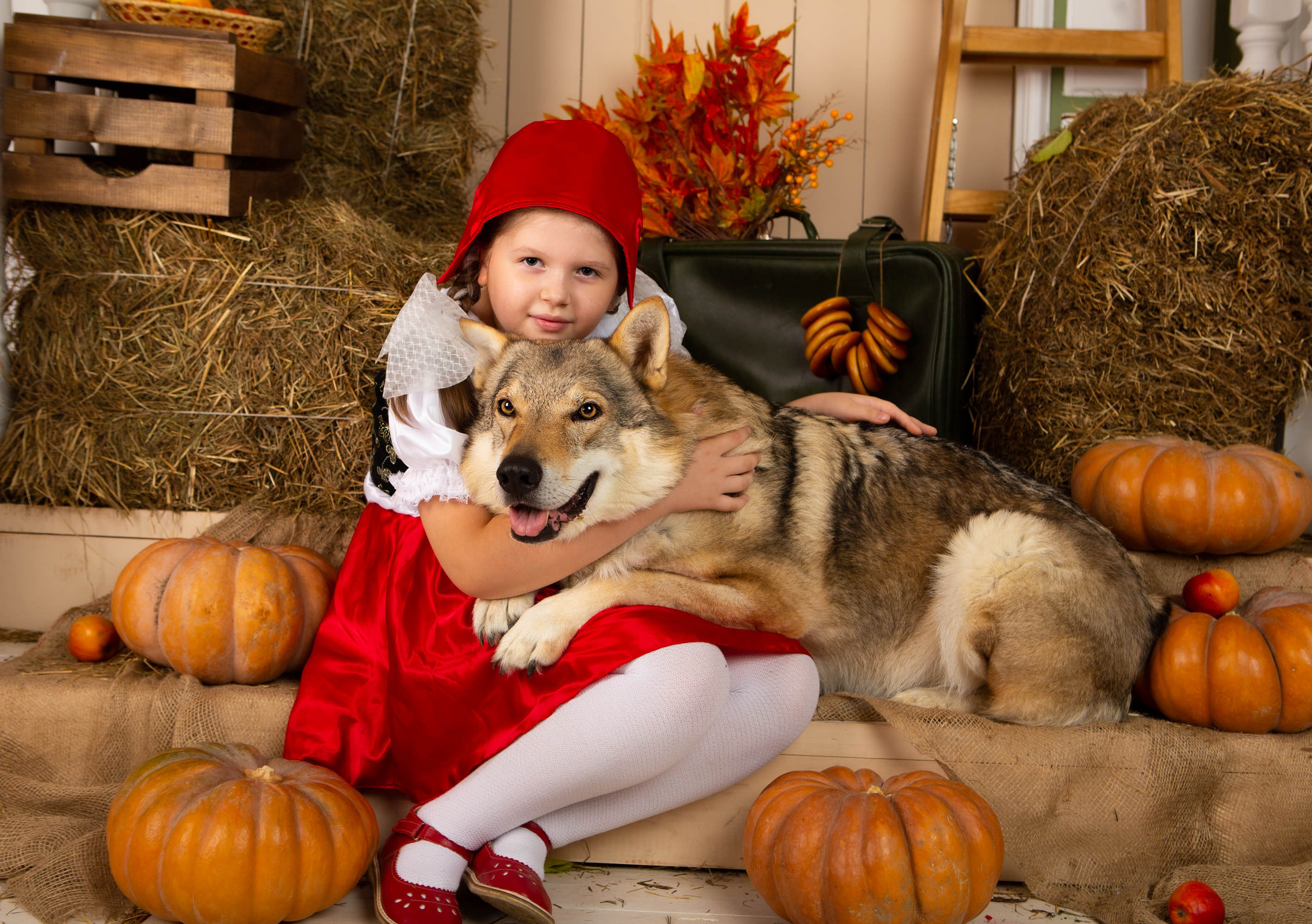 Конкурс «Дары осени» Василиса. Фотограф Абакумова Анастасия