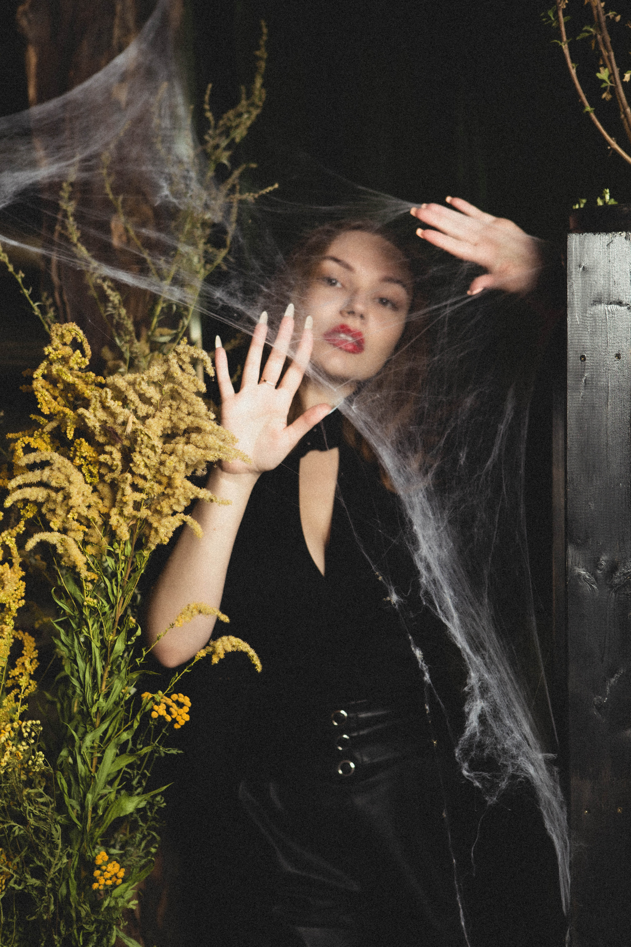 Halloween | VERONIKA. Фотограф Абакумова Анастасия