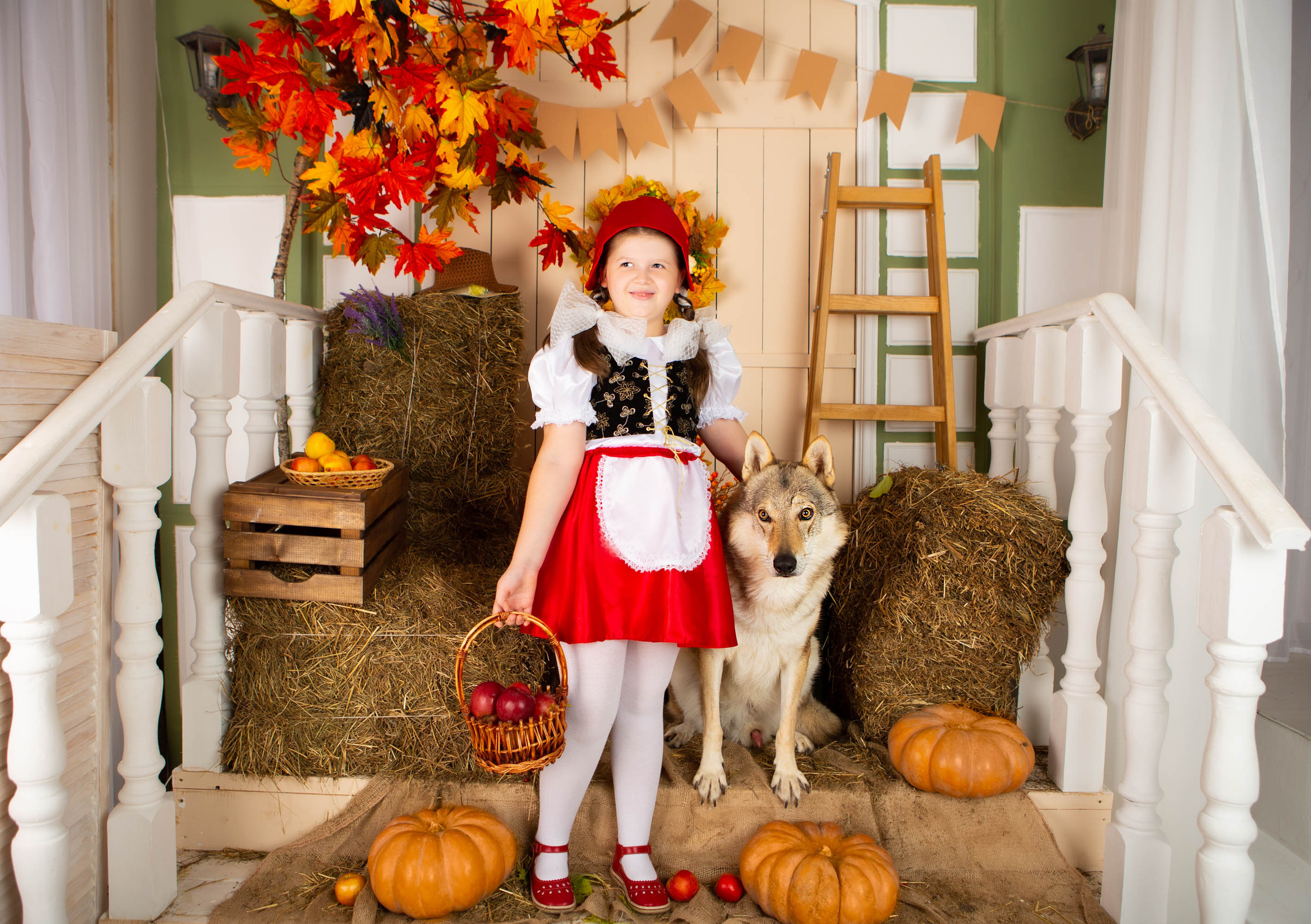 Конкурс «Дары осени» Василиса. Фотограф Абакумова Анастасия