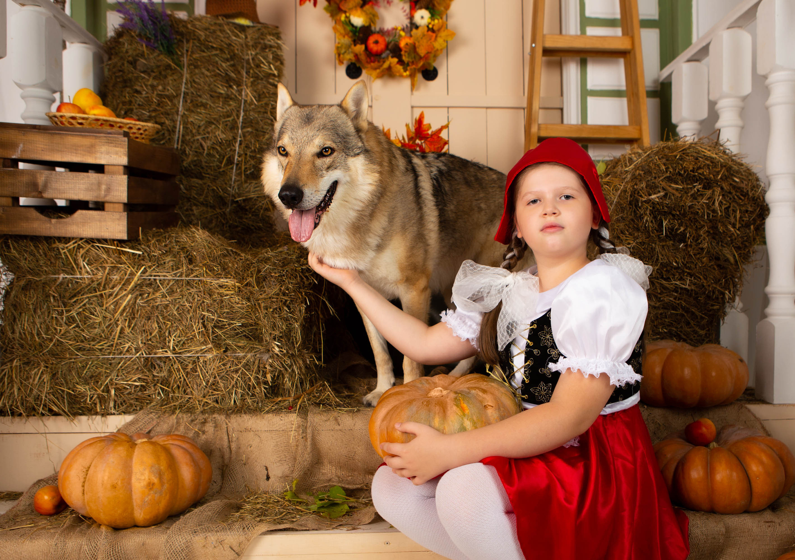 Конкурс «Дары осени» Василиса. Фотограф Абакумова Анастасия