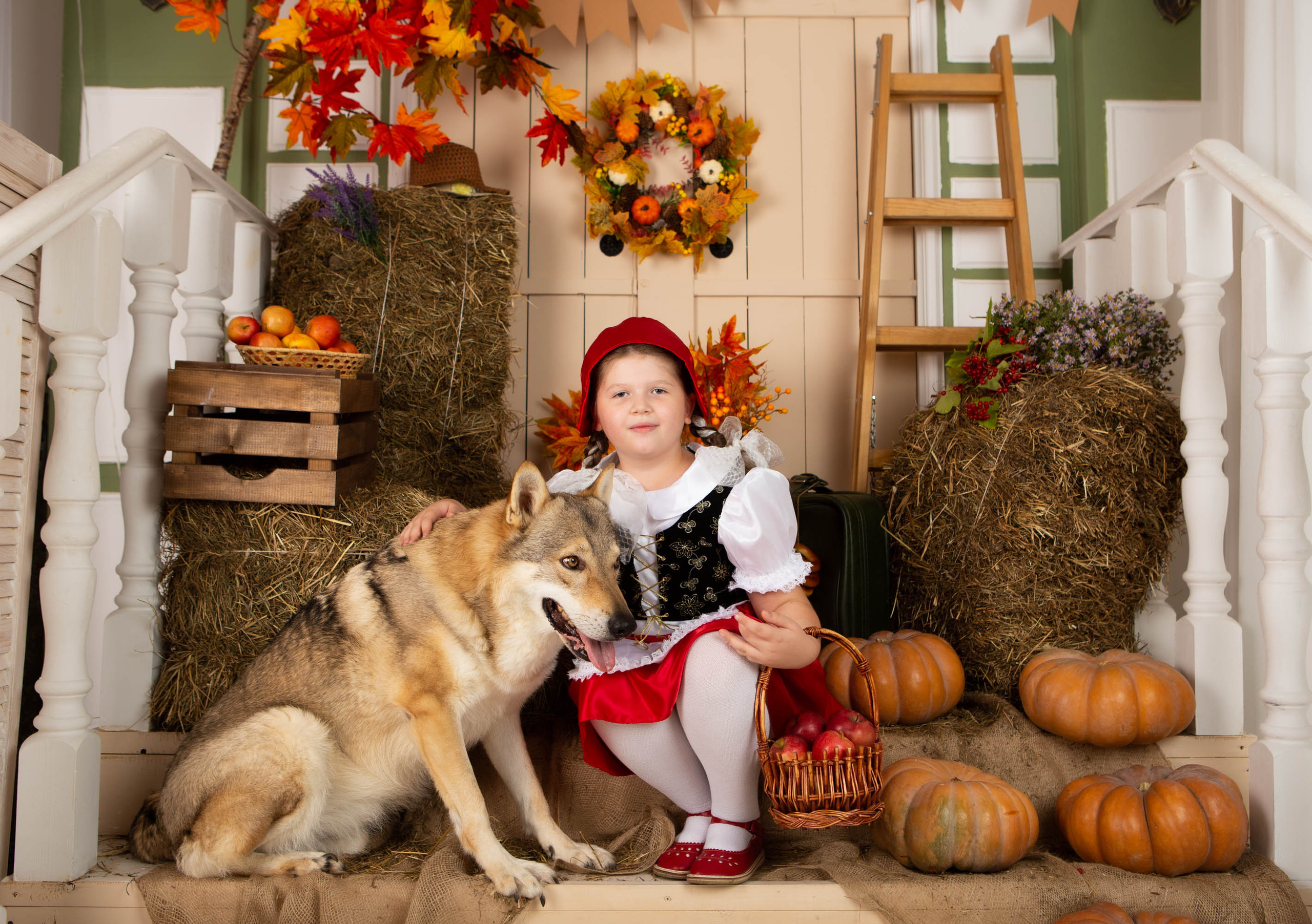 Конкурс «Дары осени» Василиса. Фотограф Абакумова Анастасия