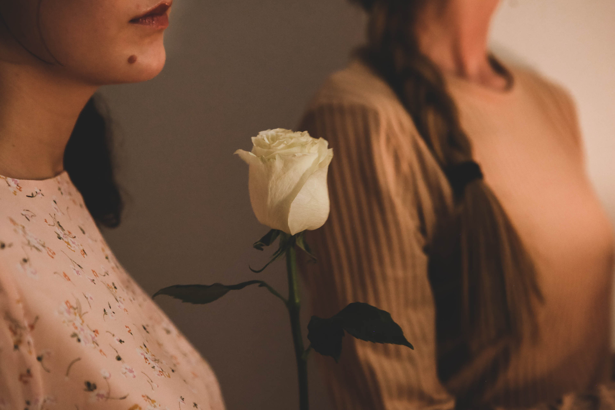 Девичник | Palmira Business club. Фотограф Абакумова Анастасия