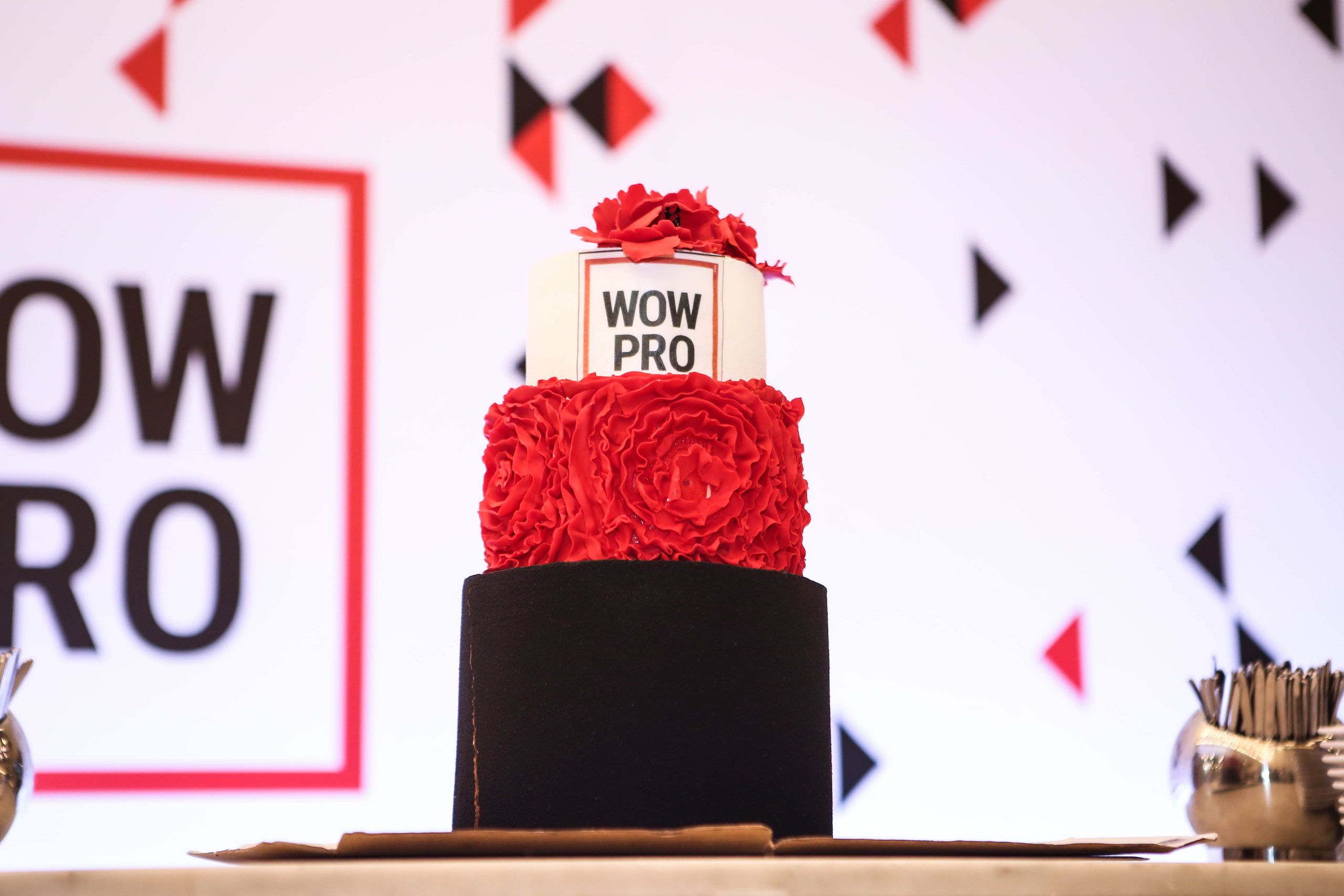 WOW PRO | Норникель, VK, ТехноНИКОЛЬ, Газпромнефть-Заполярье, КОМУС, Спортмастер. Фотограф Абакумова Анастасия