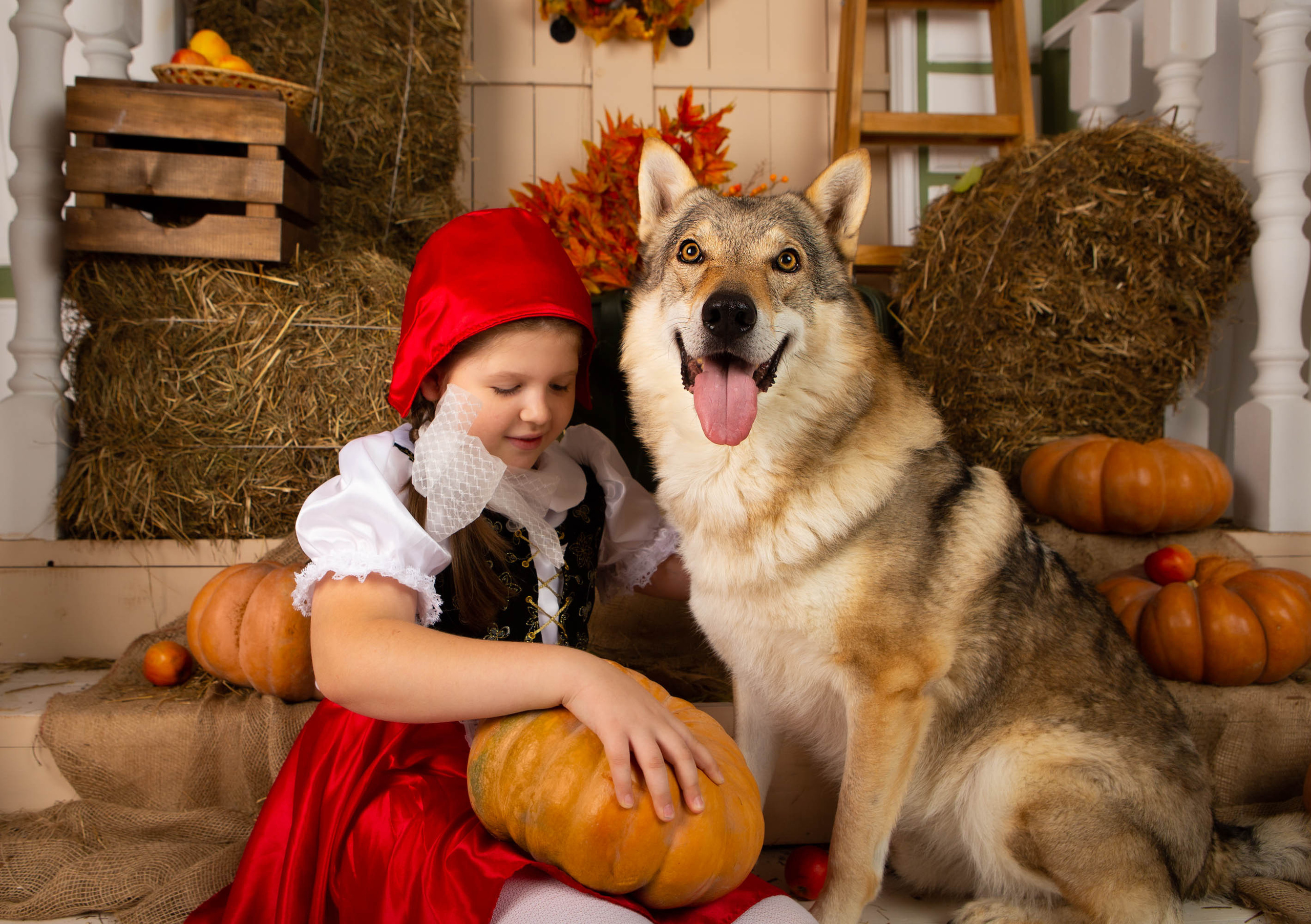 Конкурс «Дары осени» Василиса. Фотограф Абакумова Анастасия