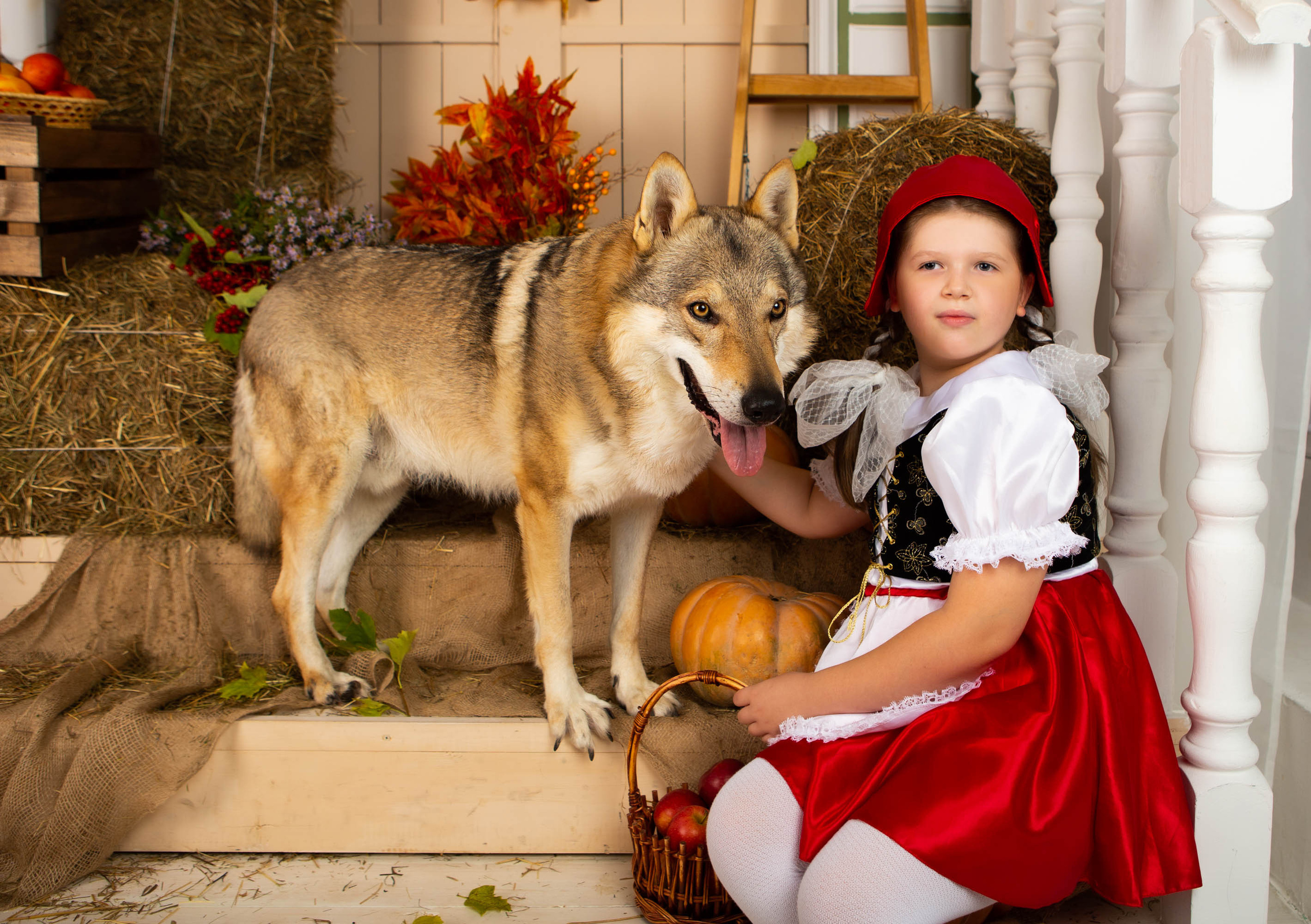 Конкурс «Дары осени» Василиса. Фотограф Абакумова Анастасия
