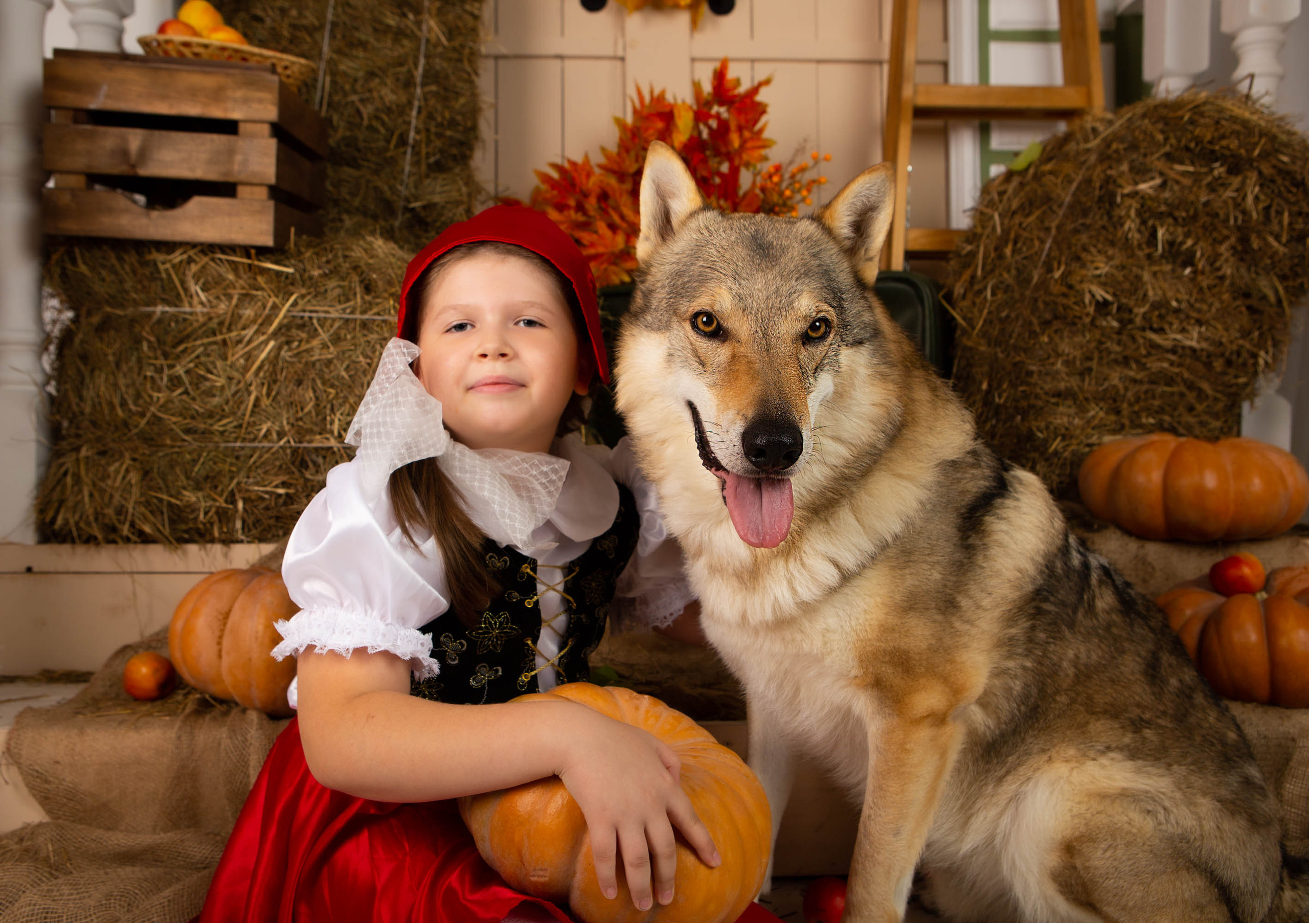 Конкурс «Дары осени» Василиса. Фотограф Абакумова Анастасия