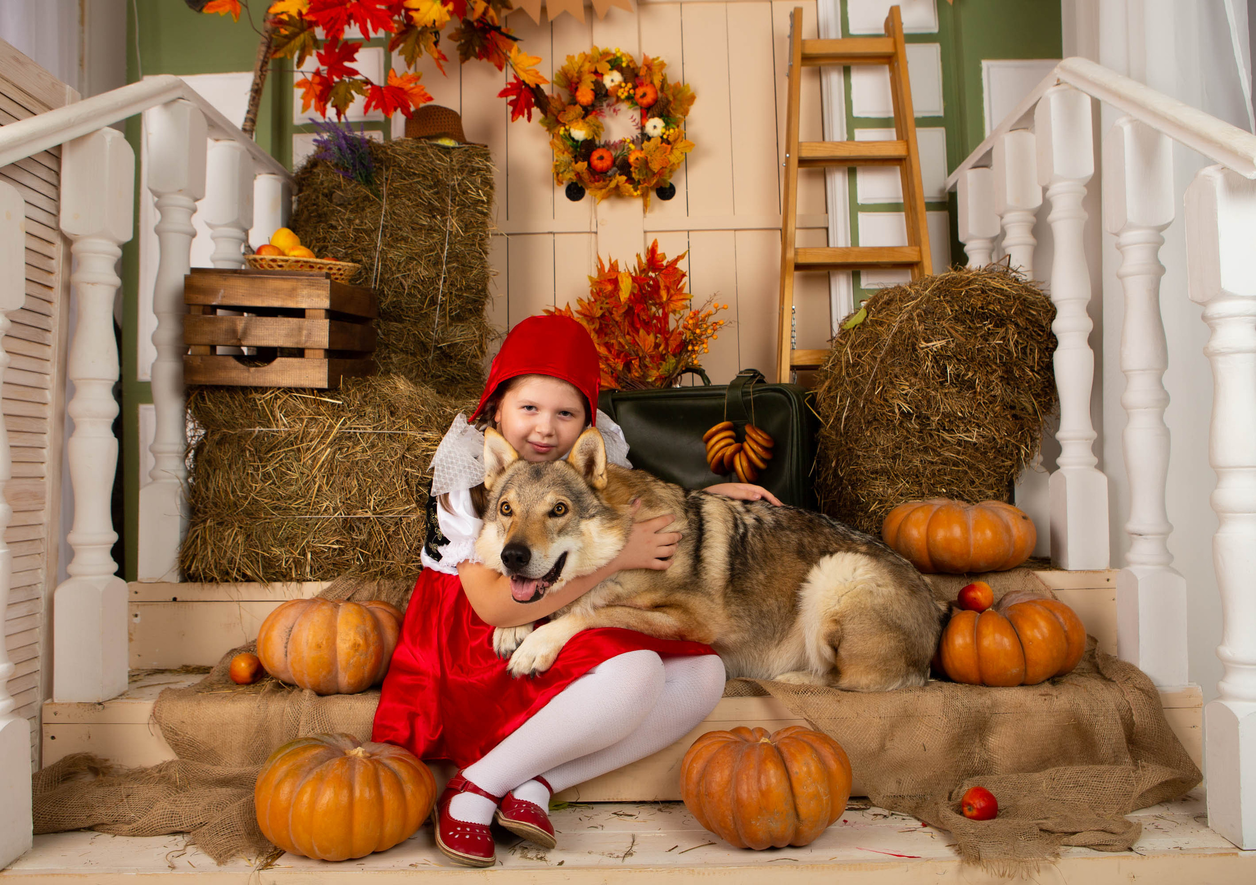 Конкурс «Дары осени» Василиса. Фотограф Абакумова Анастасия