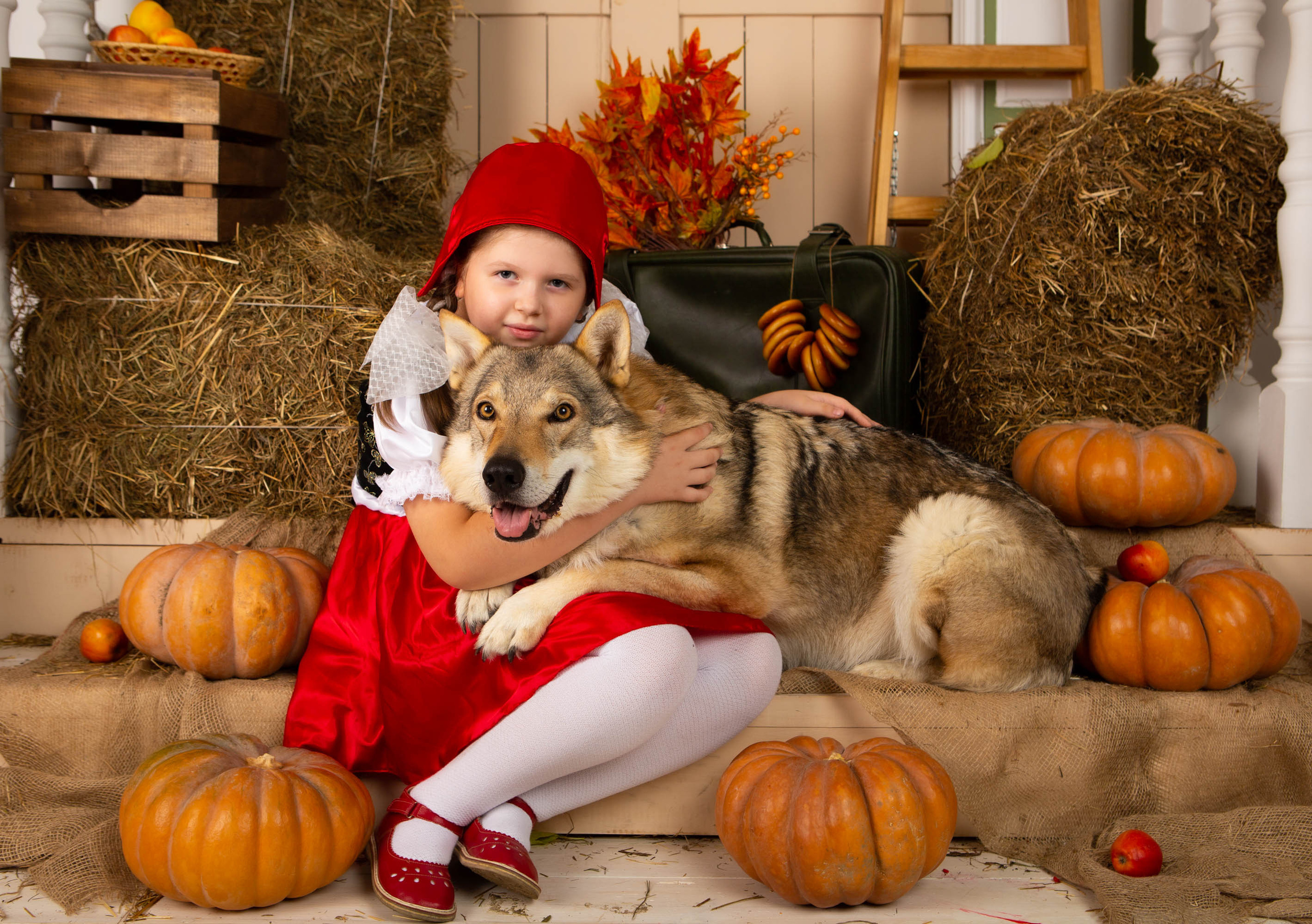 Конкурс «Дары осени» Василиса. Фотограф Абакумова Анастасия