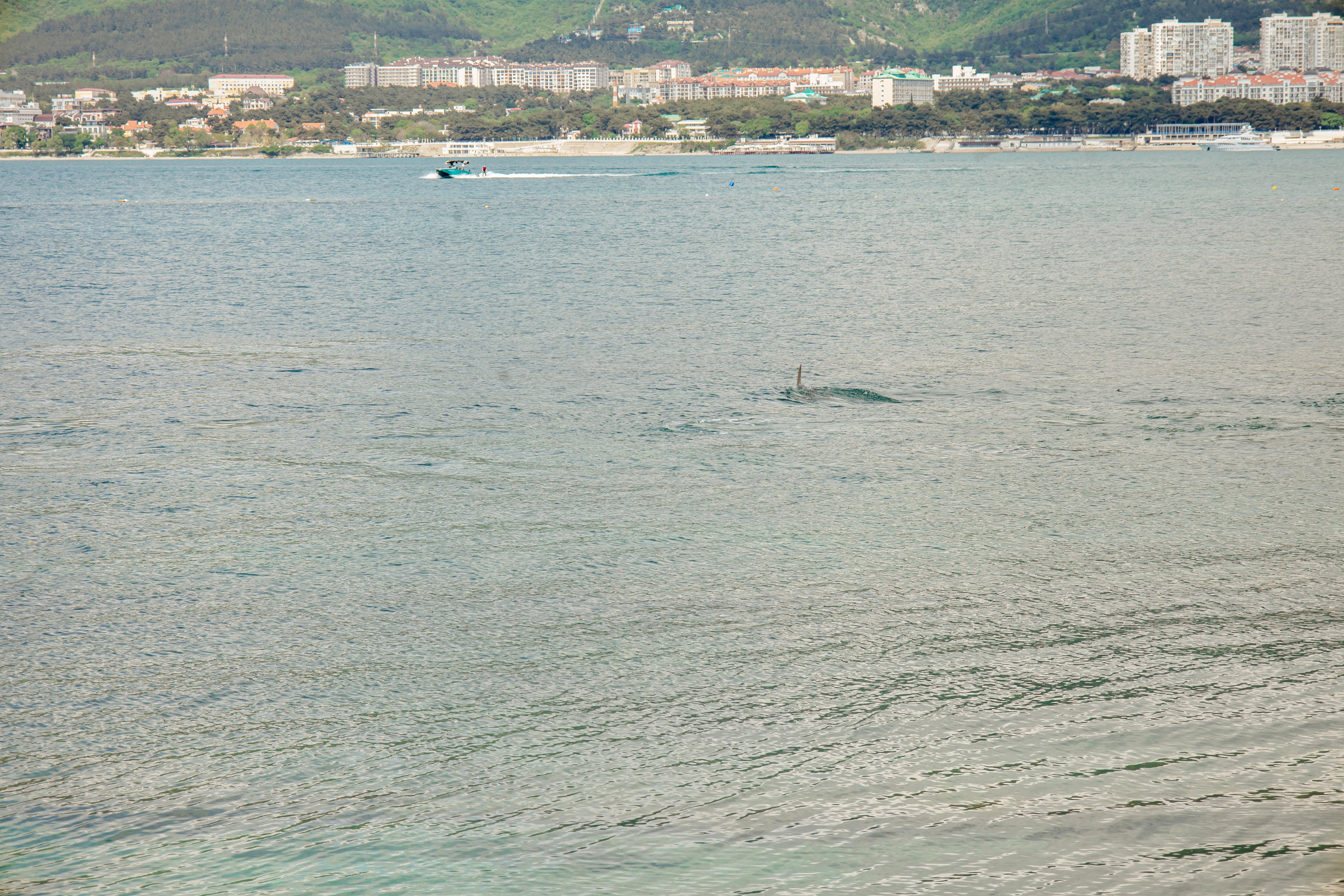 Татьяна. Фотограф в Геленджике, Архипо-Осиповке, Абрау-Дюрсо, Кринице Виктория