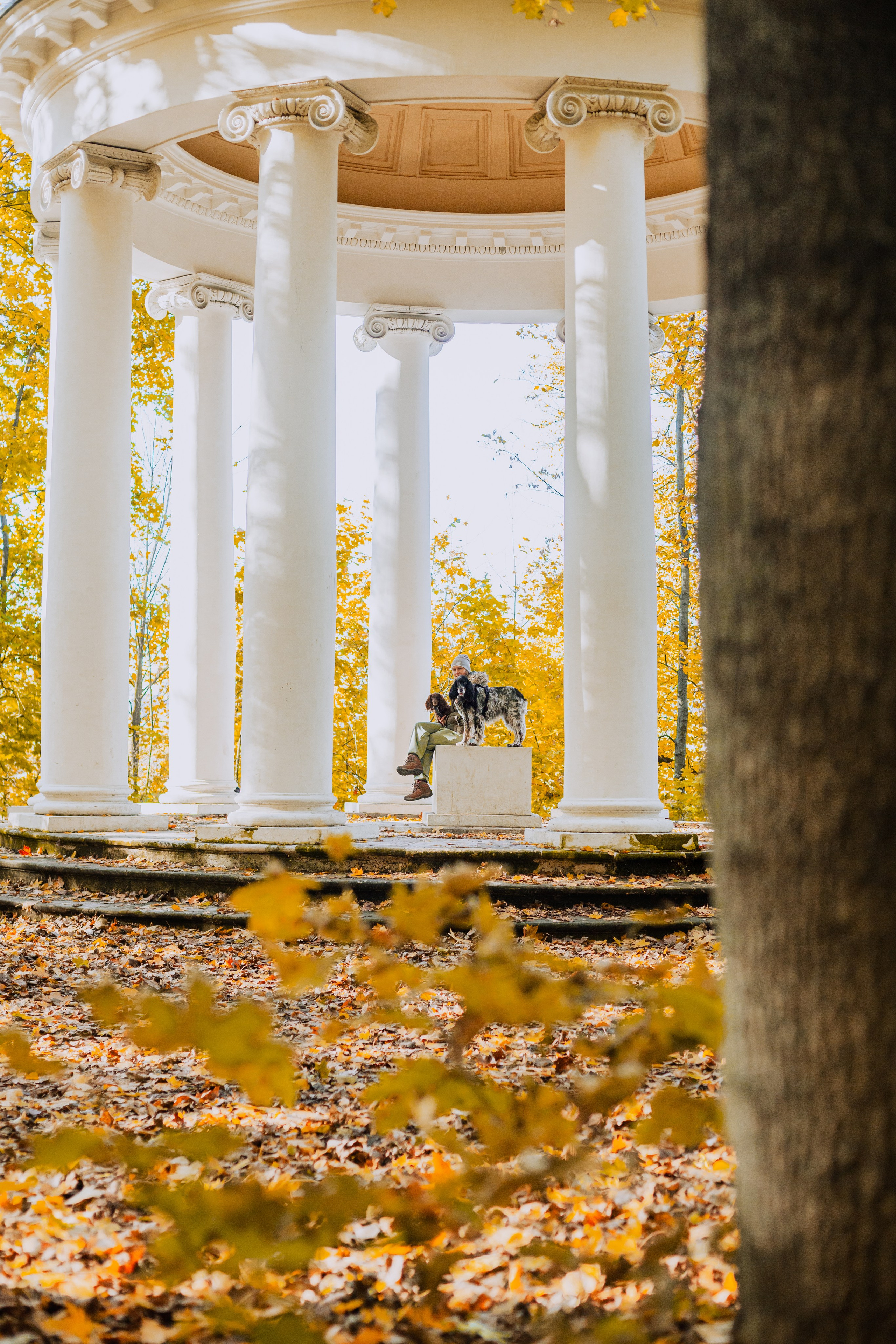 Света, Хайди, Богдана. Фотограф-анималист Татьяна Степанова