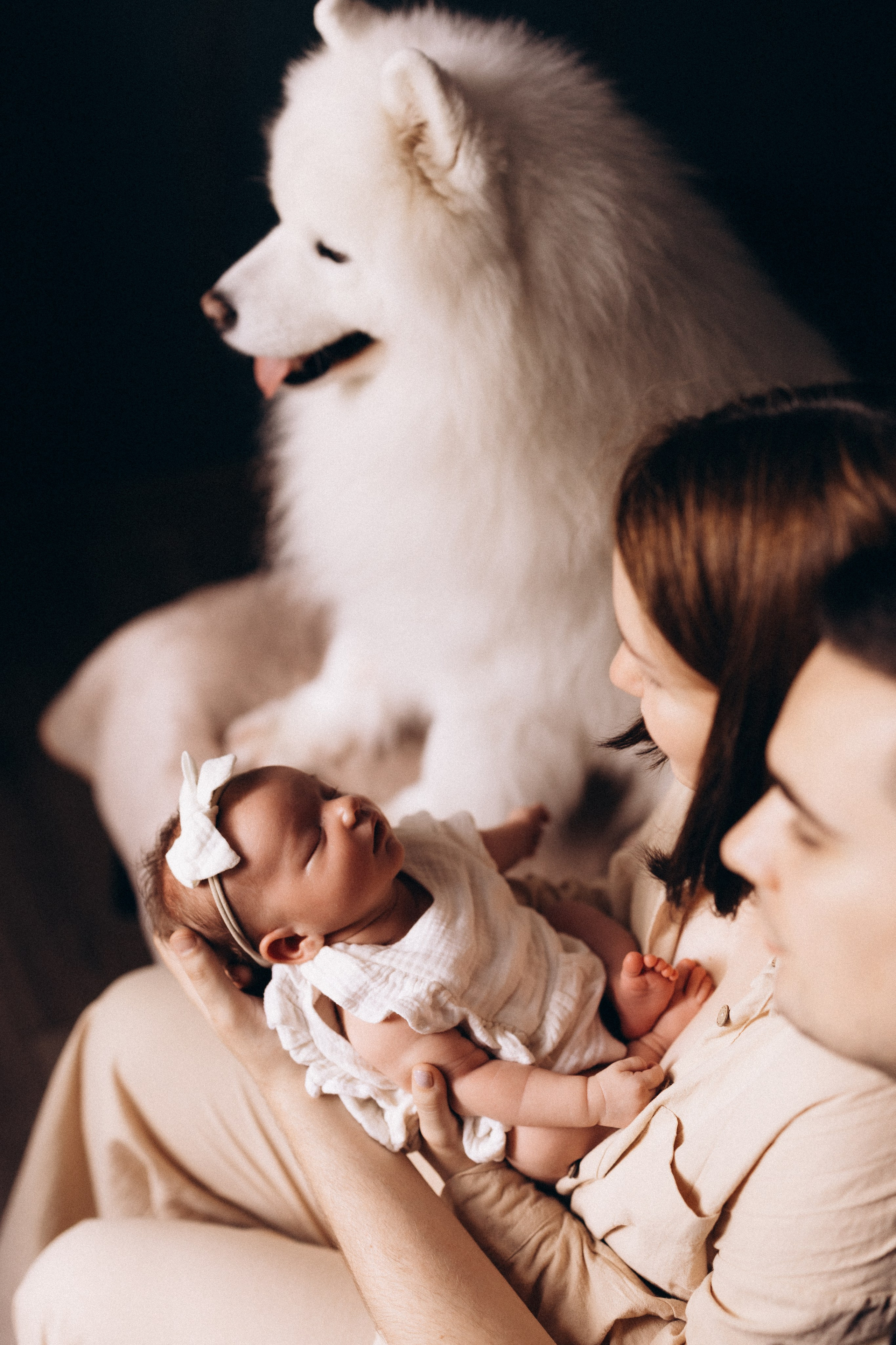 Василиса. Евгения Пелипас