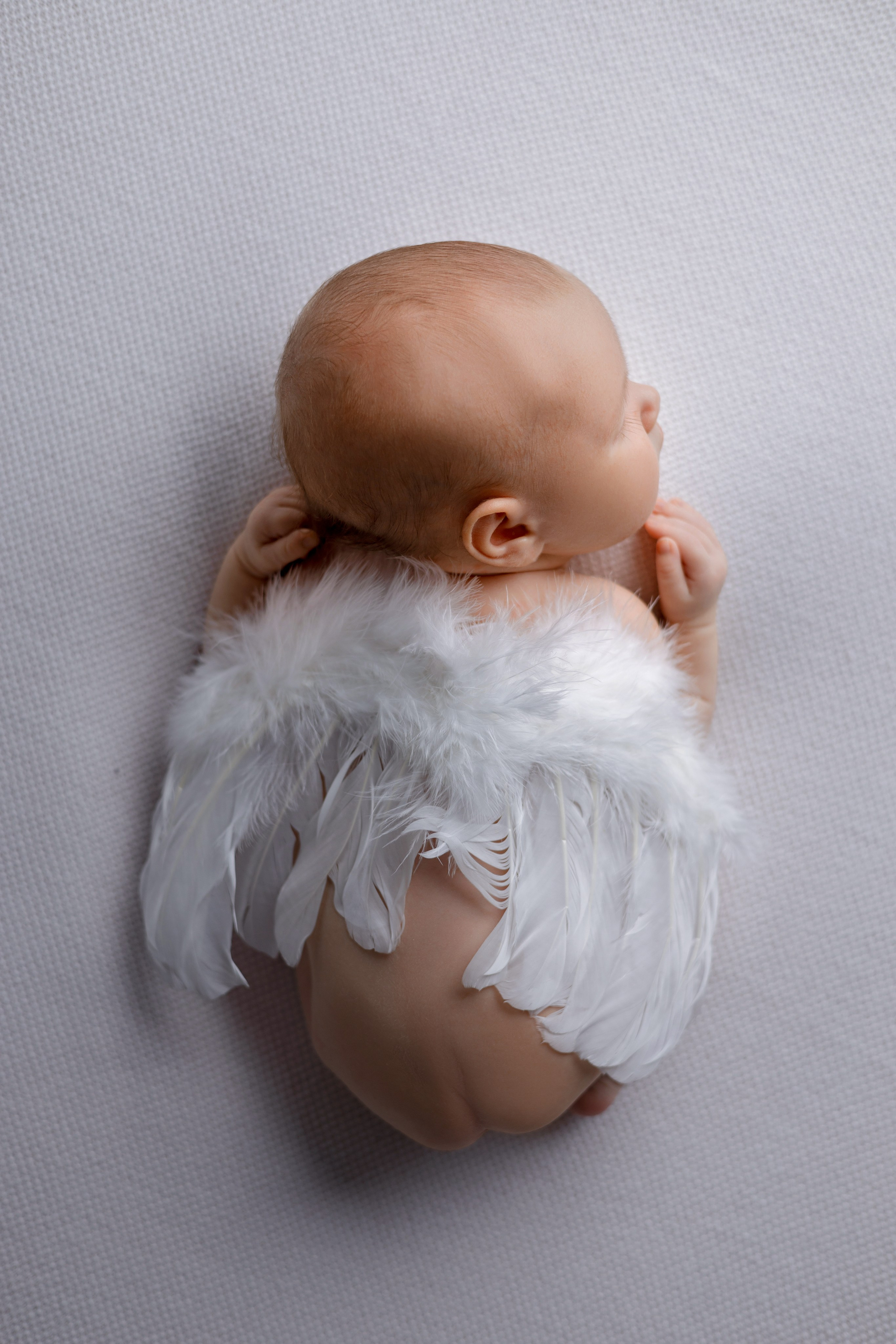 Мирослава. Евгения Горбунова фотограф новорожденных в Новом Уренгое