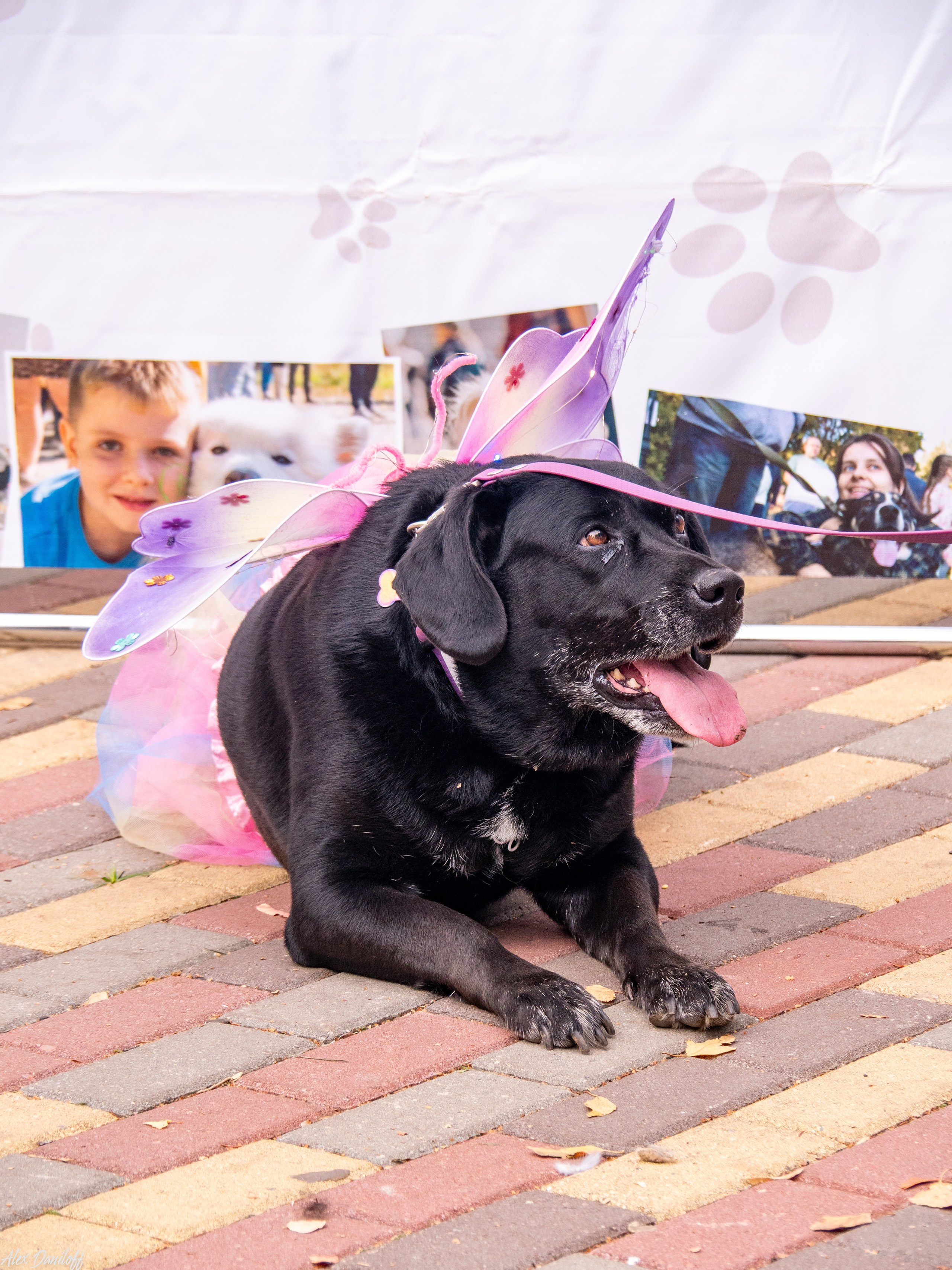 Обнимака 2025. Муром-Инфо. Новости культуры, образования, спорта в городе Муром