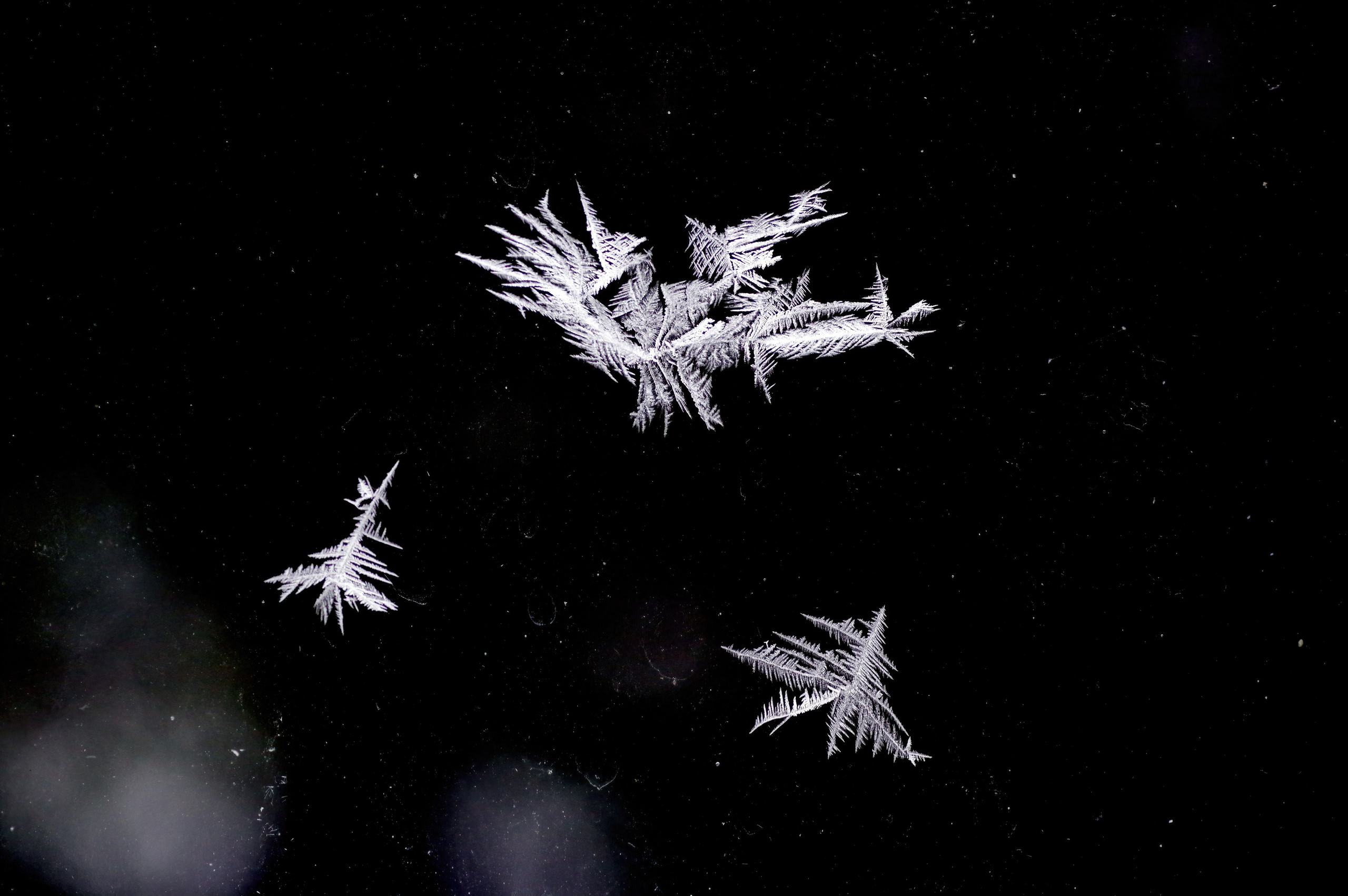 2. Вадим Шейдин