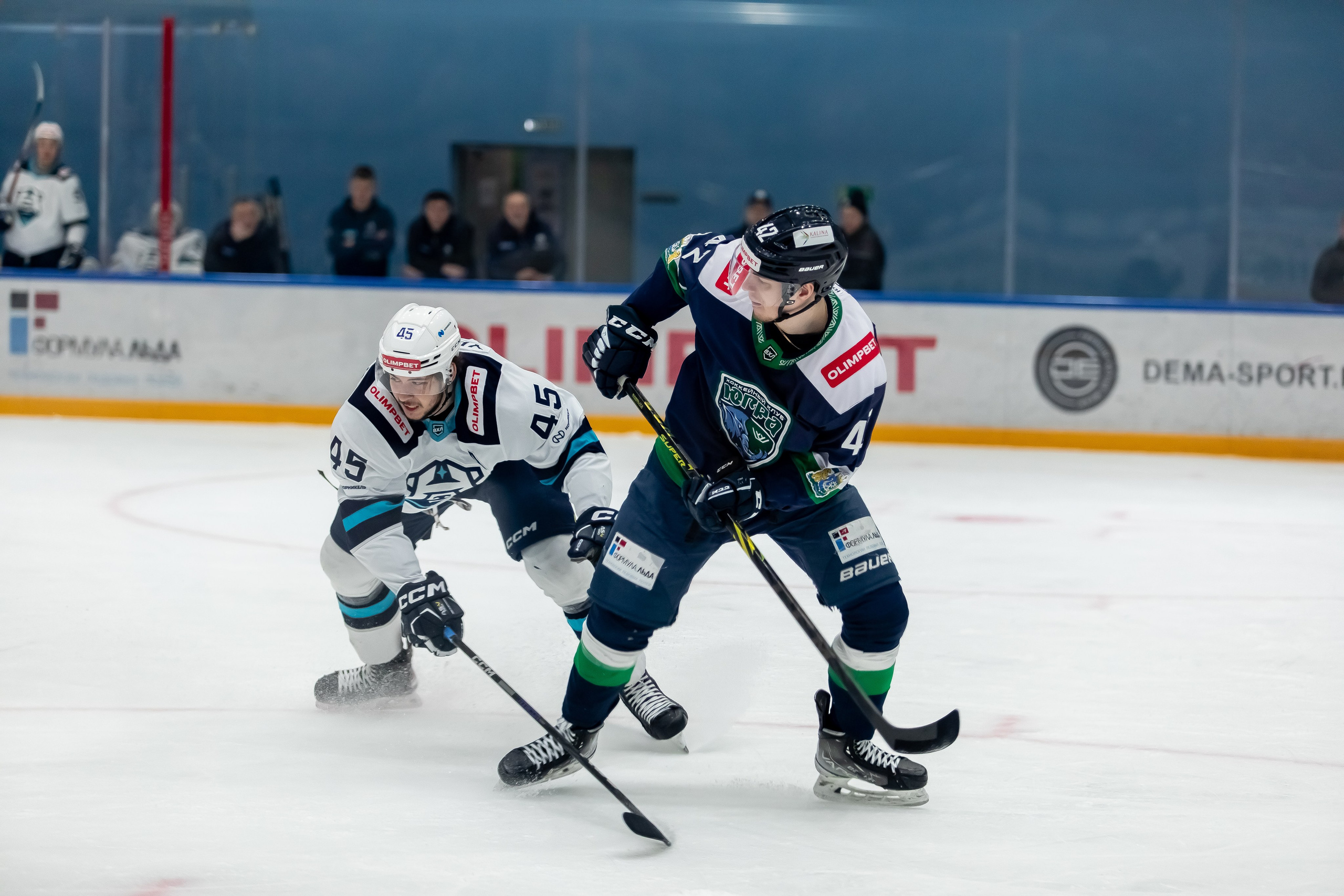 Хоккей. Фотограф Тимербаева Алина г. Сургут