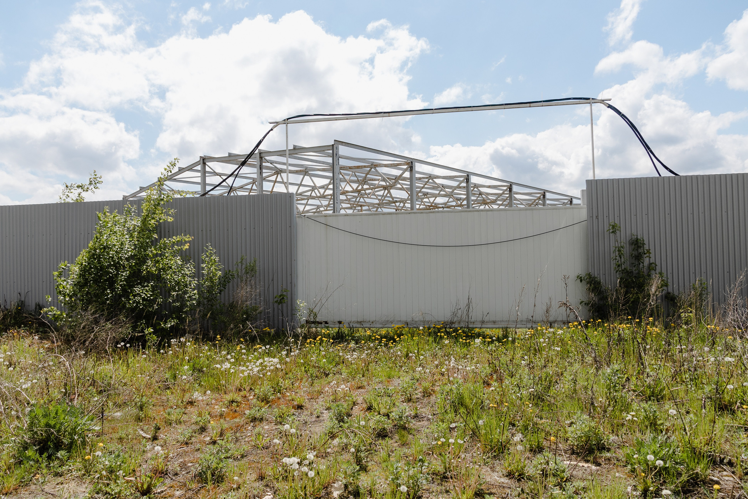 Открытый мир. DASHA KALNINA