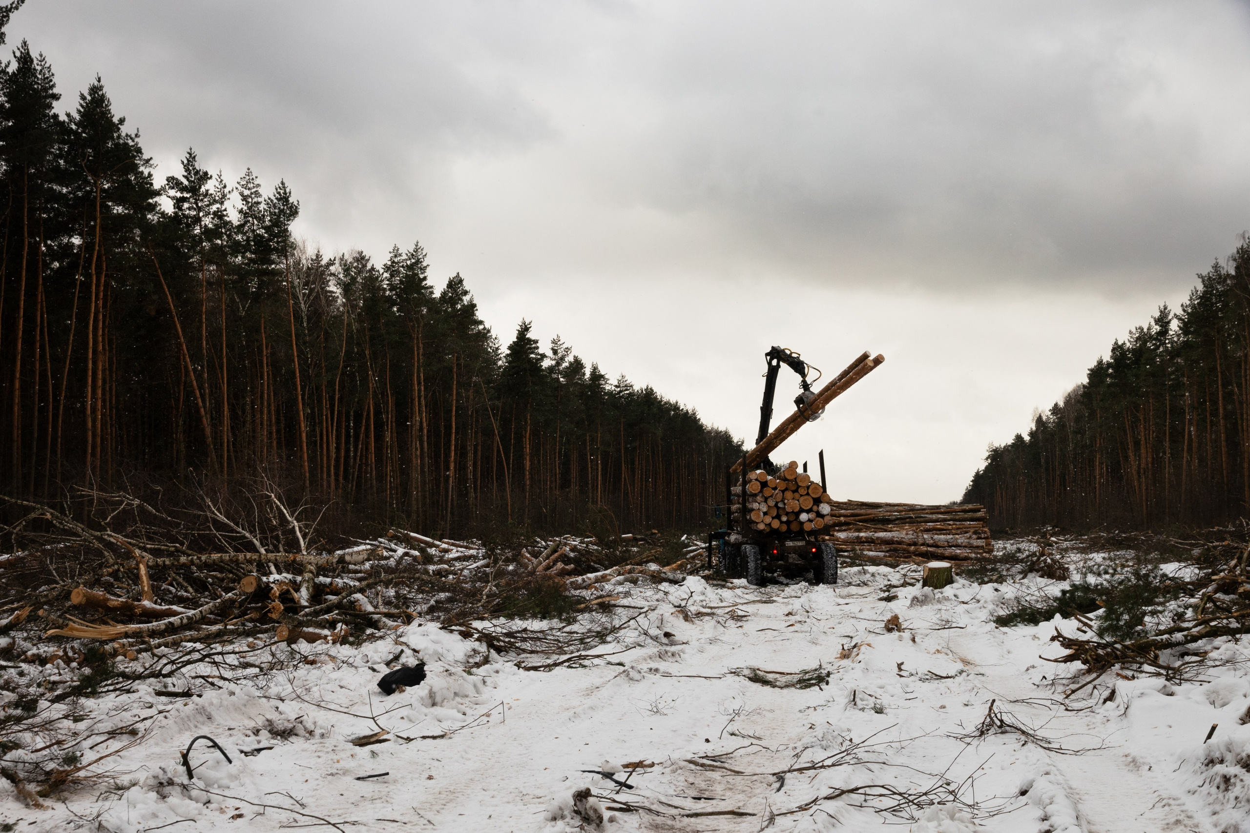 Я здесь живу. DASHA KALNINA