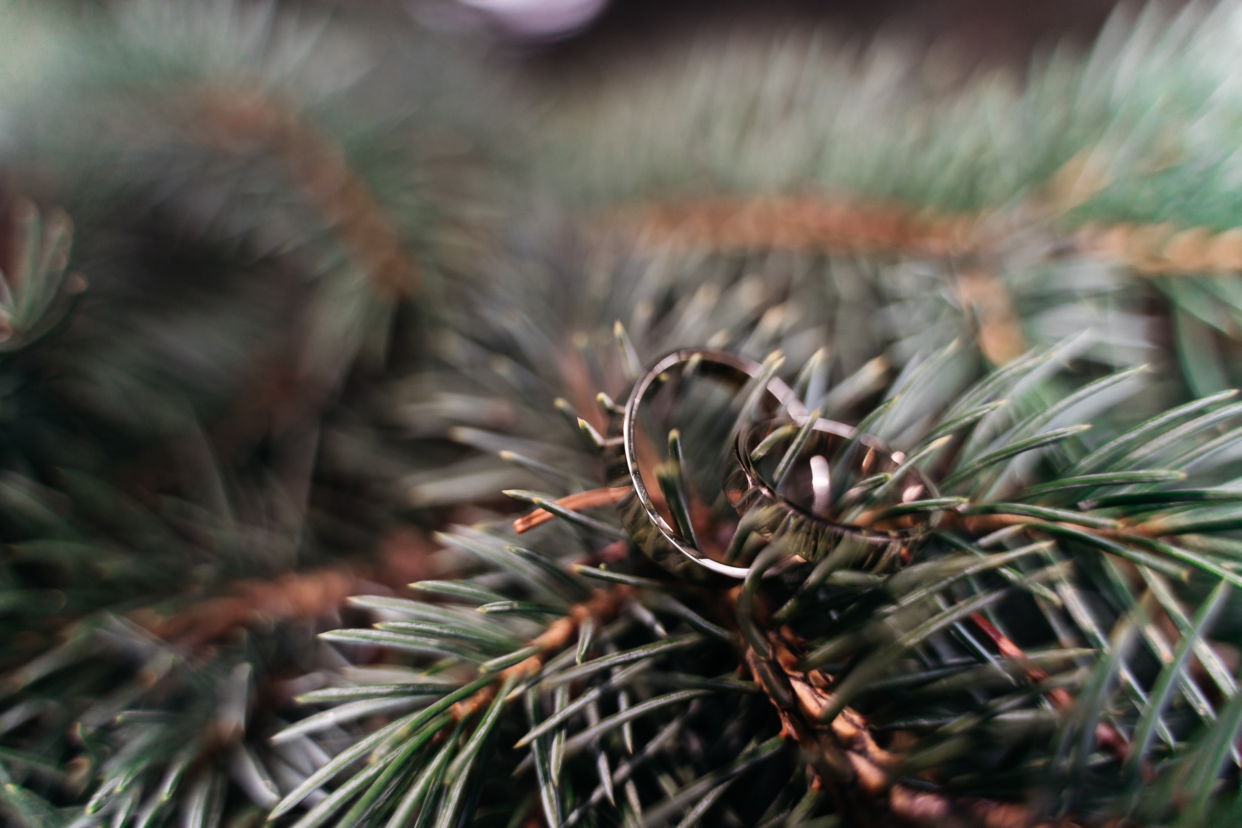 Фотограф Олег Иванов Псков ivamedia. Олег и Мария Ивановы фотограф и видеограф в Пскове Санкт - Петербурге