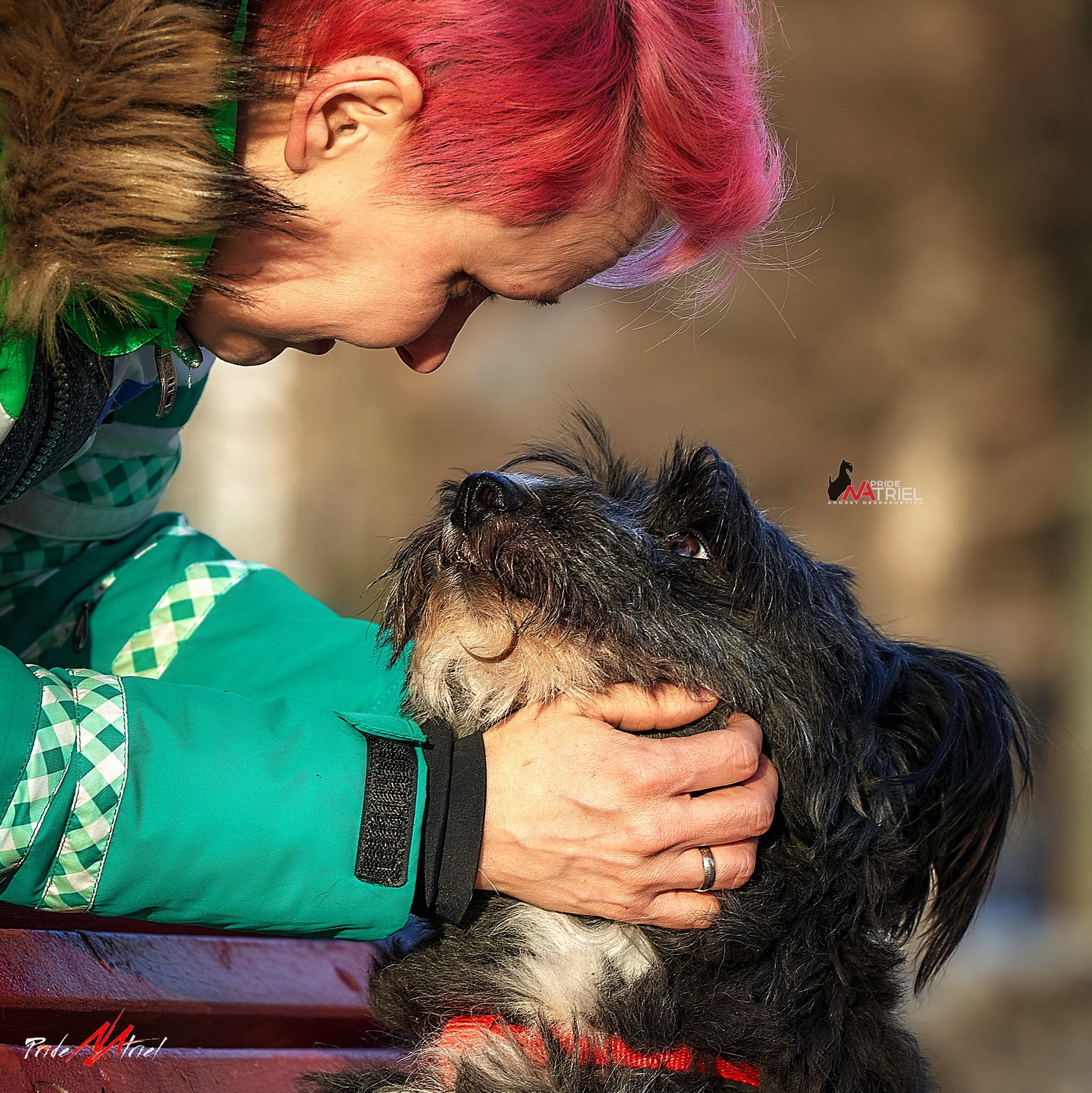 Собаки и Люди — галерея NATRIEL