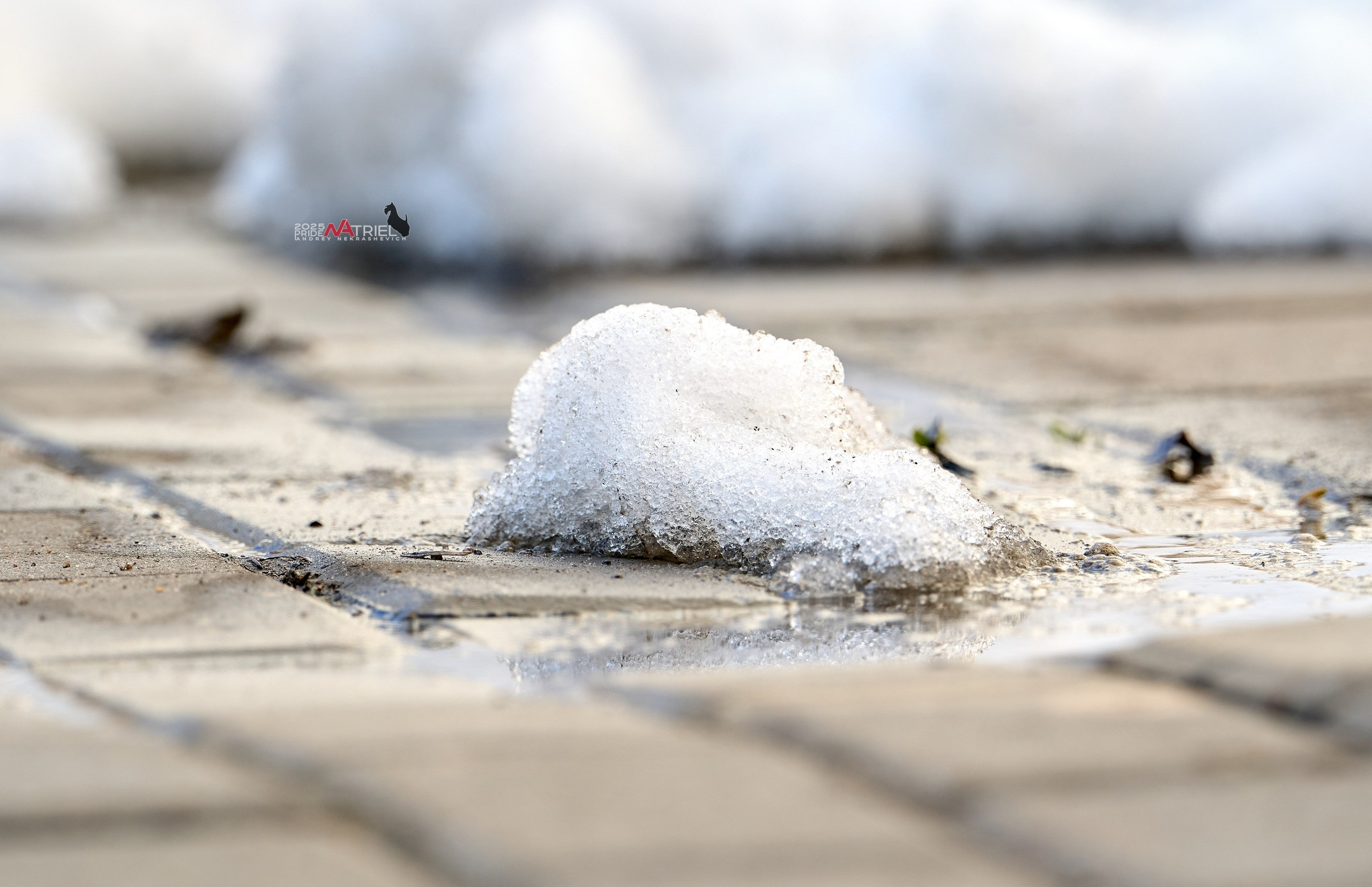 Природа в апреле