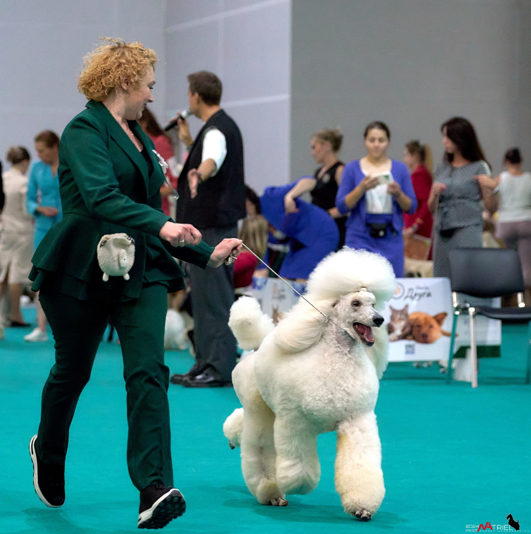 Съемка на выставке в Крокус