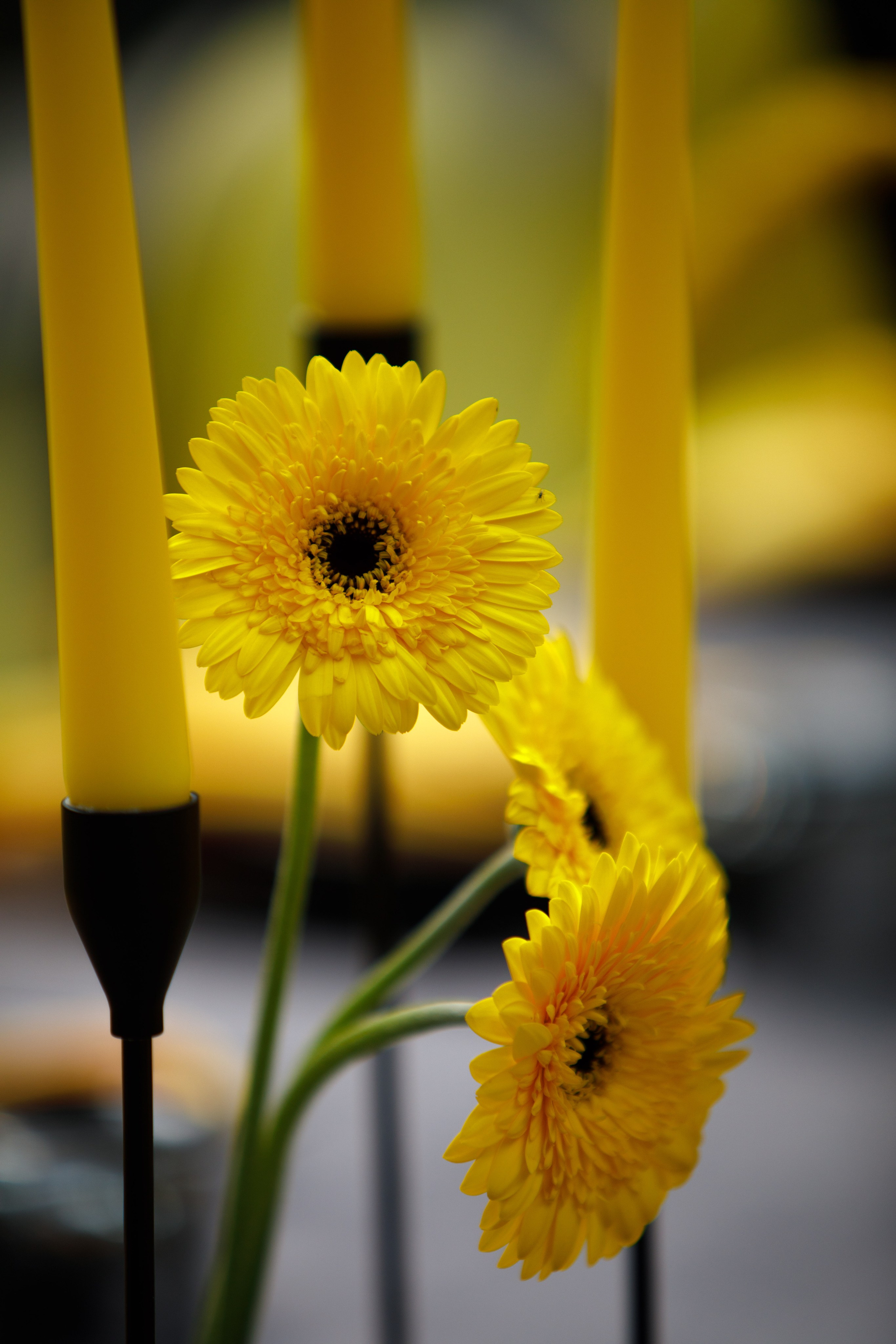 Разрушители | 18.08.2025 | г. Москва. МашаШарики | Декоратор | Москва