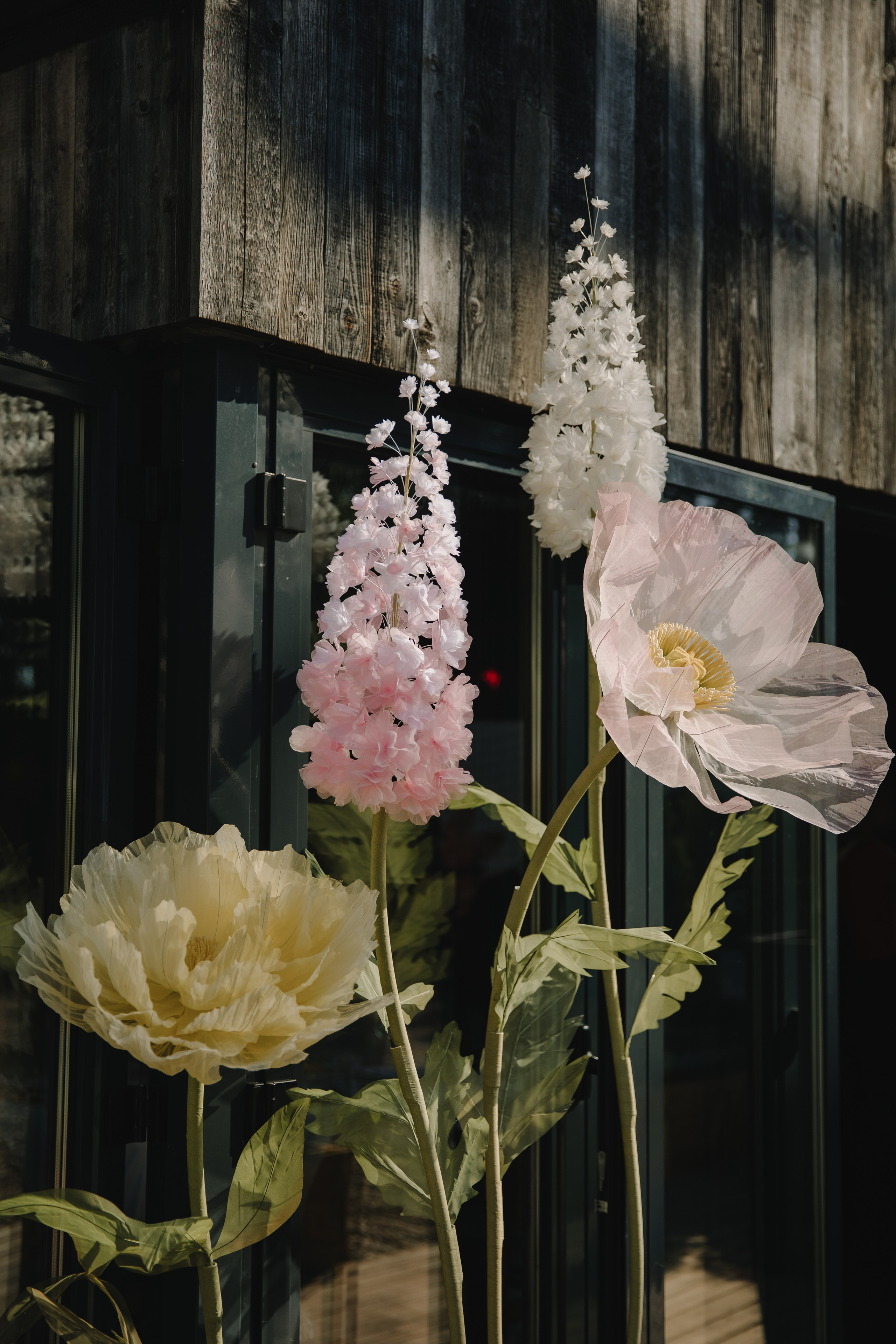 VSummer | 31.08.2024 | МО, ресторан «Рико Дом». МашаШарики | Декоратор | Москва