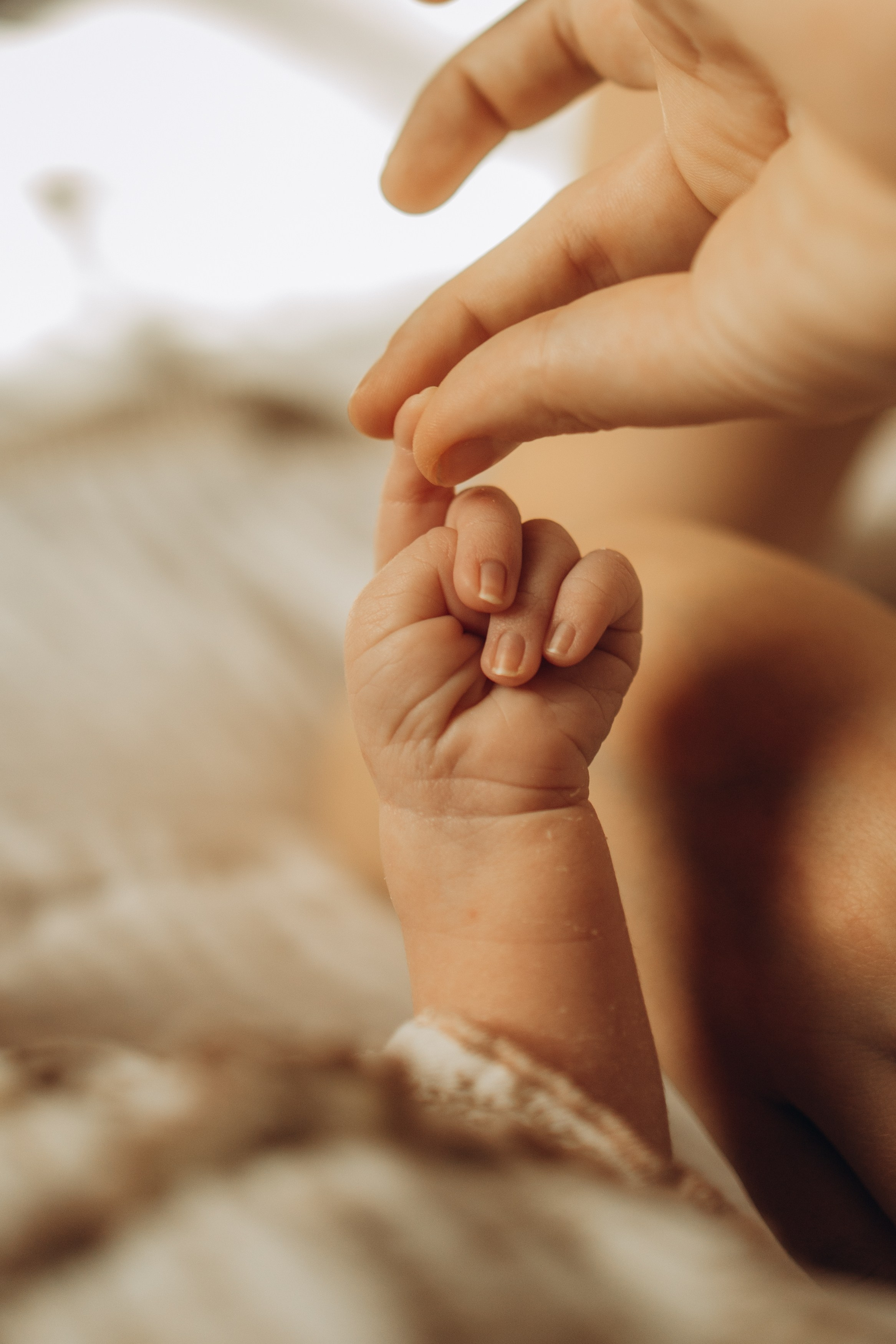 фотосессия новорожденного, фотосессия новорожденных, ньюборн, пушкин, павловск, спб, семейная фотосессия