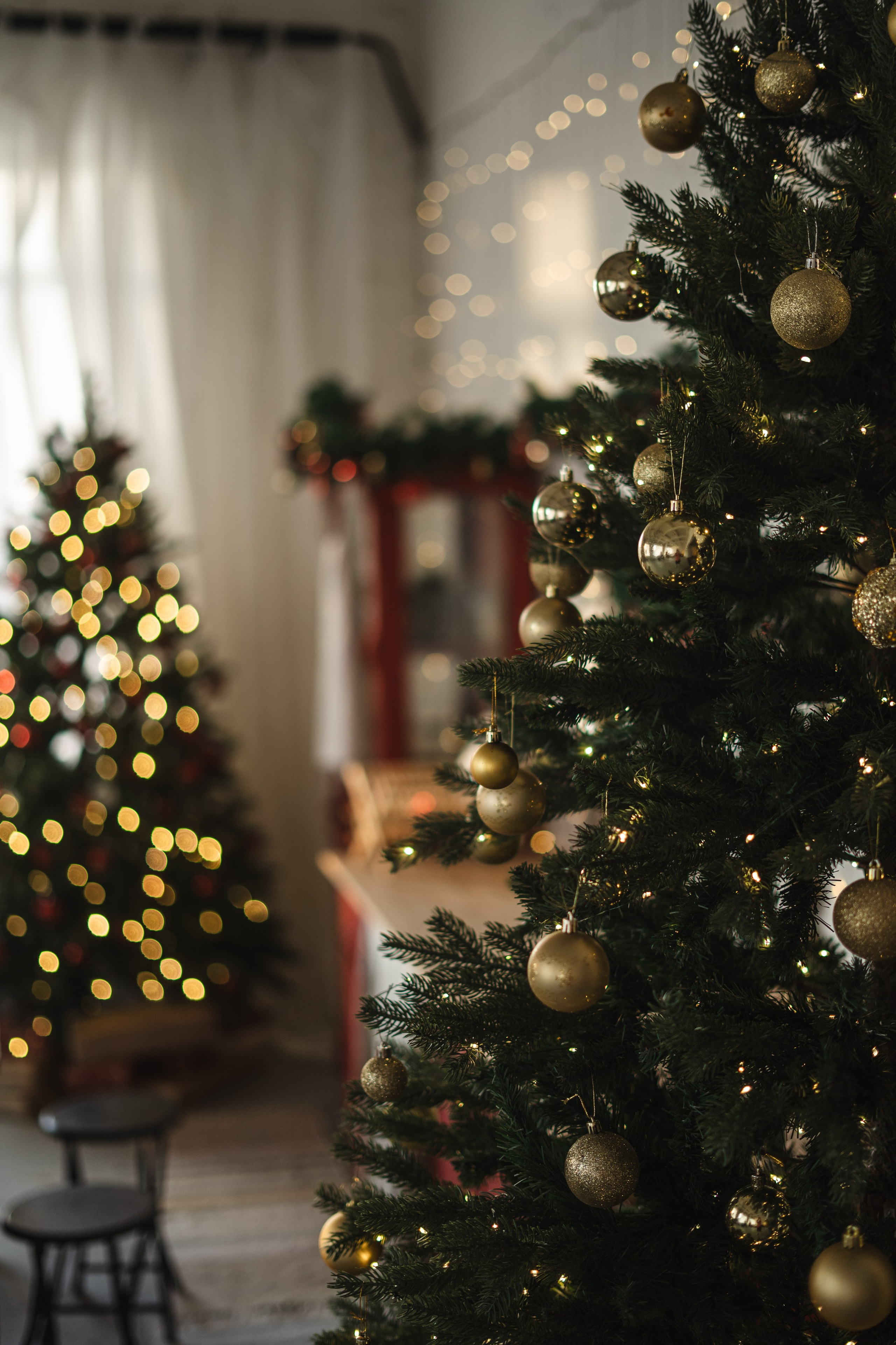 Фотостудия "Импульс" Саратов новогодняя фотосессия