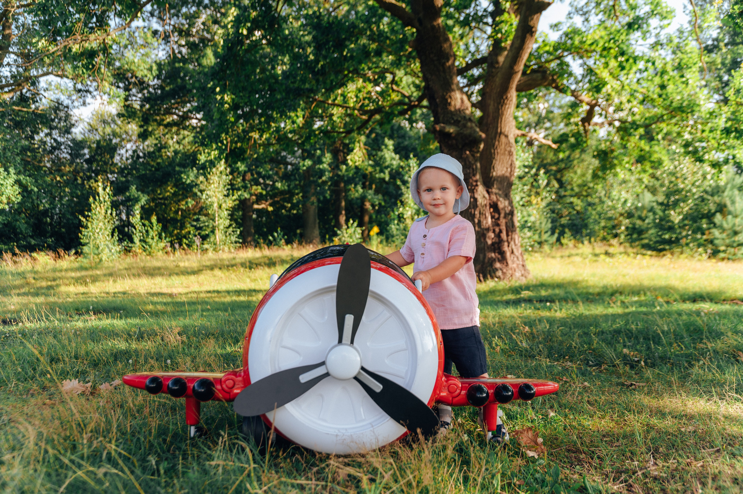 электросамолет. подойдет от 1 года до 6 лет. Аренда 1000р