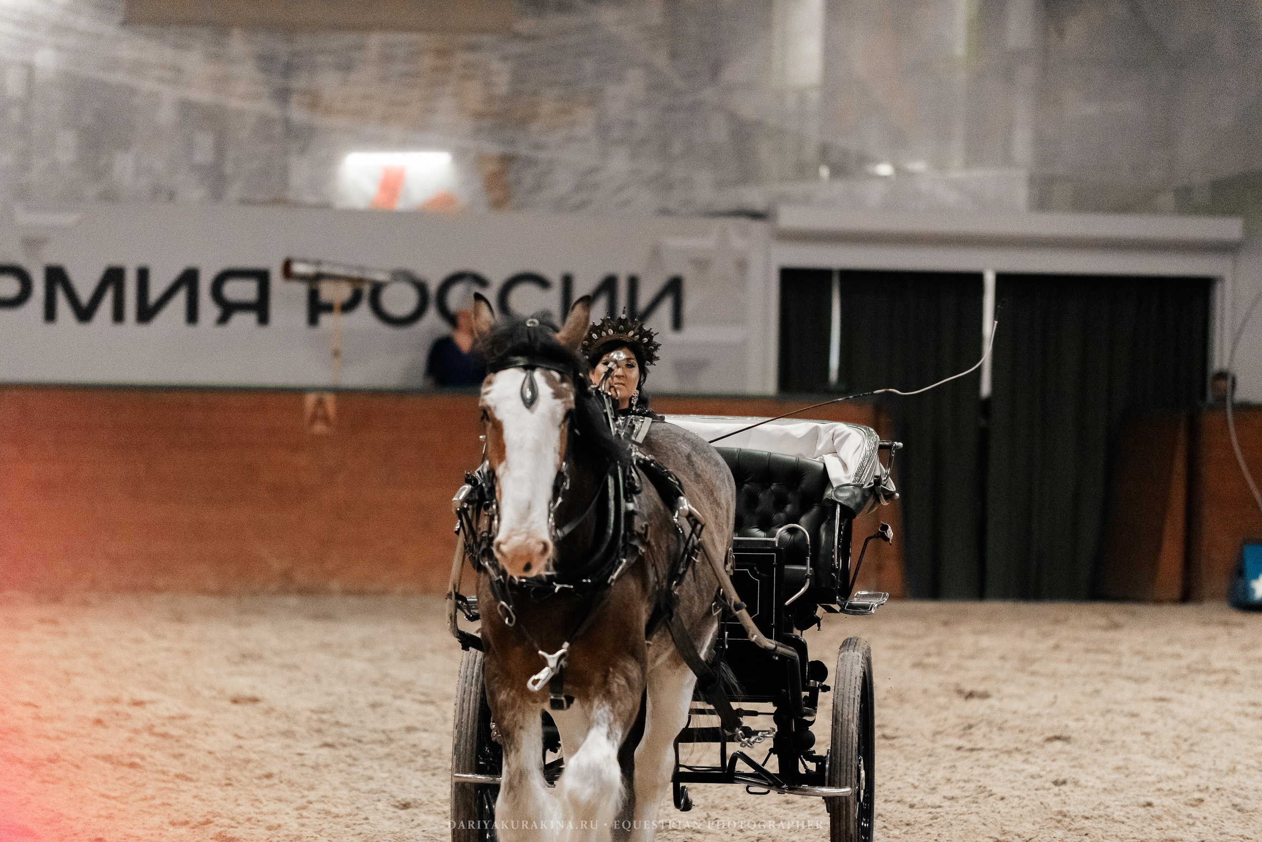 Конное представление «Дыхание Звёзд». Конный фотограф Куракина Дарья • Фотосессии с лошадьми