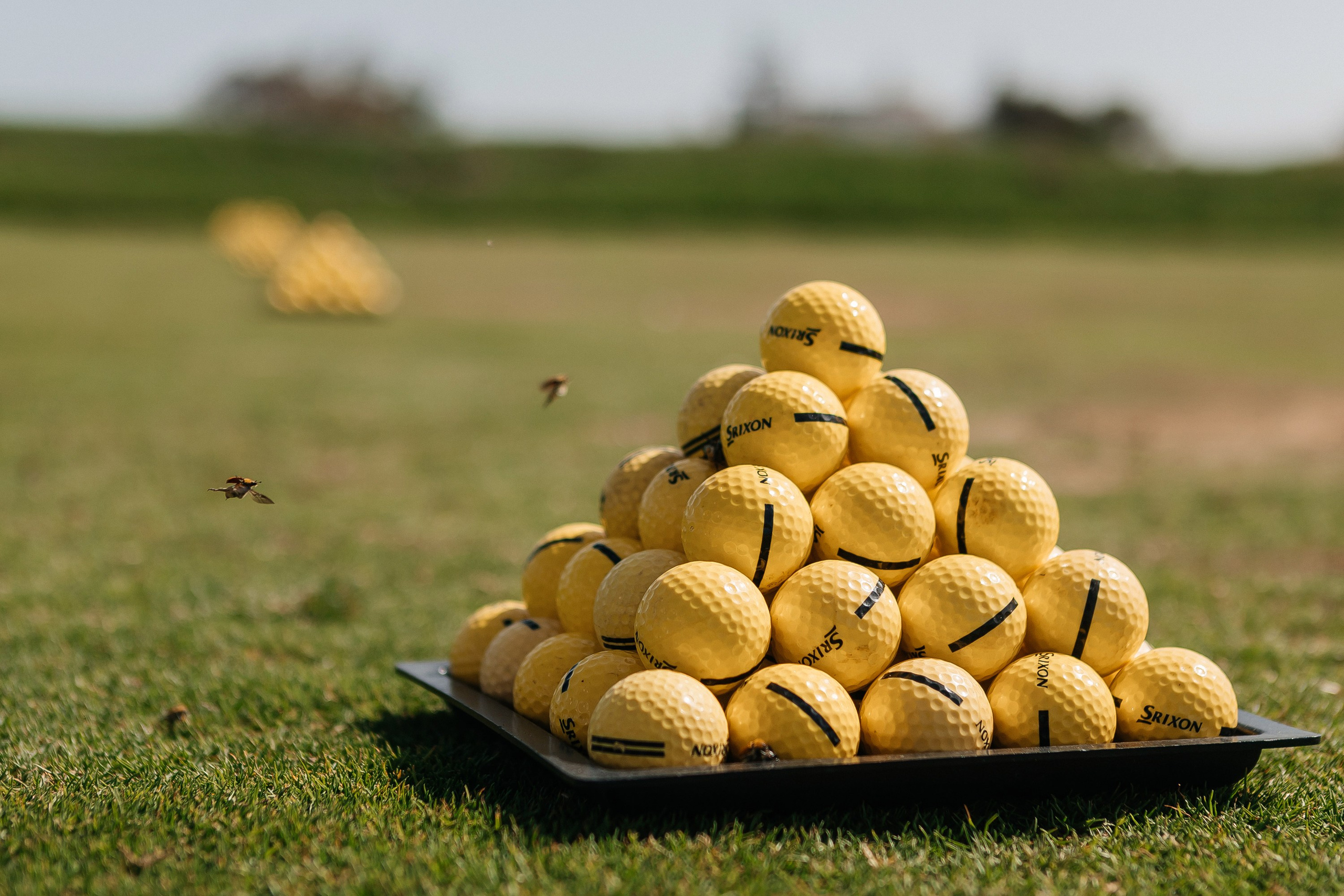 Марокко Альфа Банк. Фотограф в Москве Дмитрий Жарков