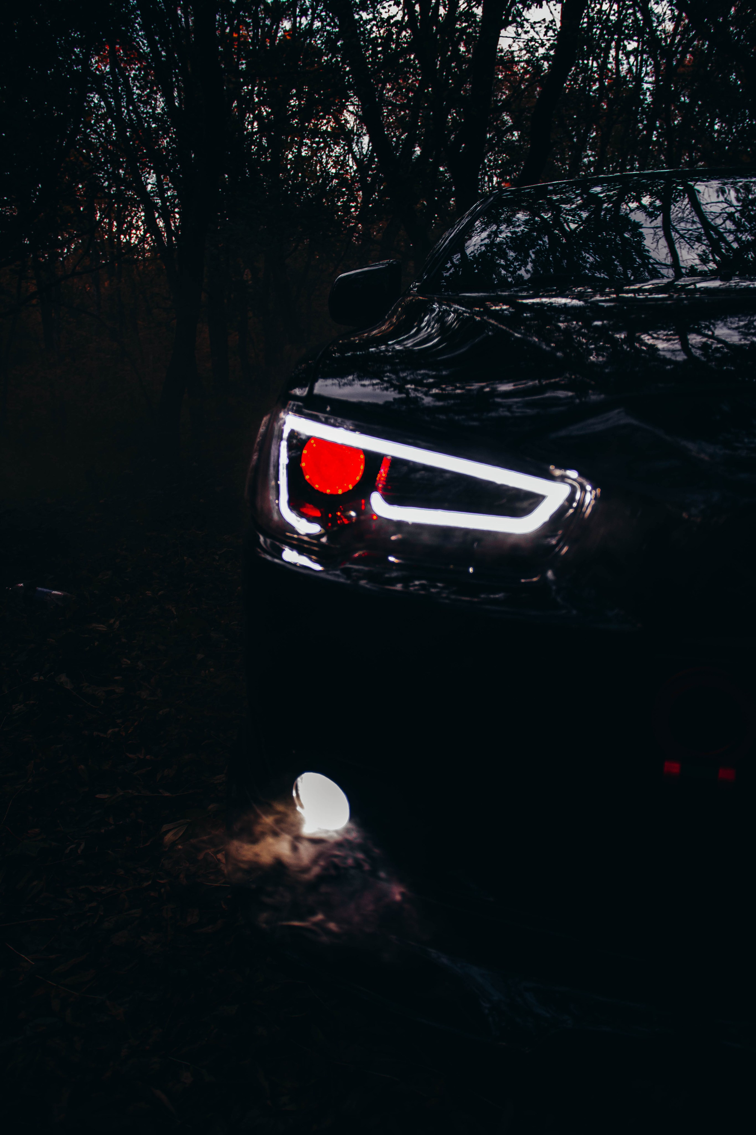 Кирилл. Фотограф Пятигорск Александра Карасева