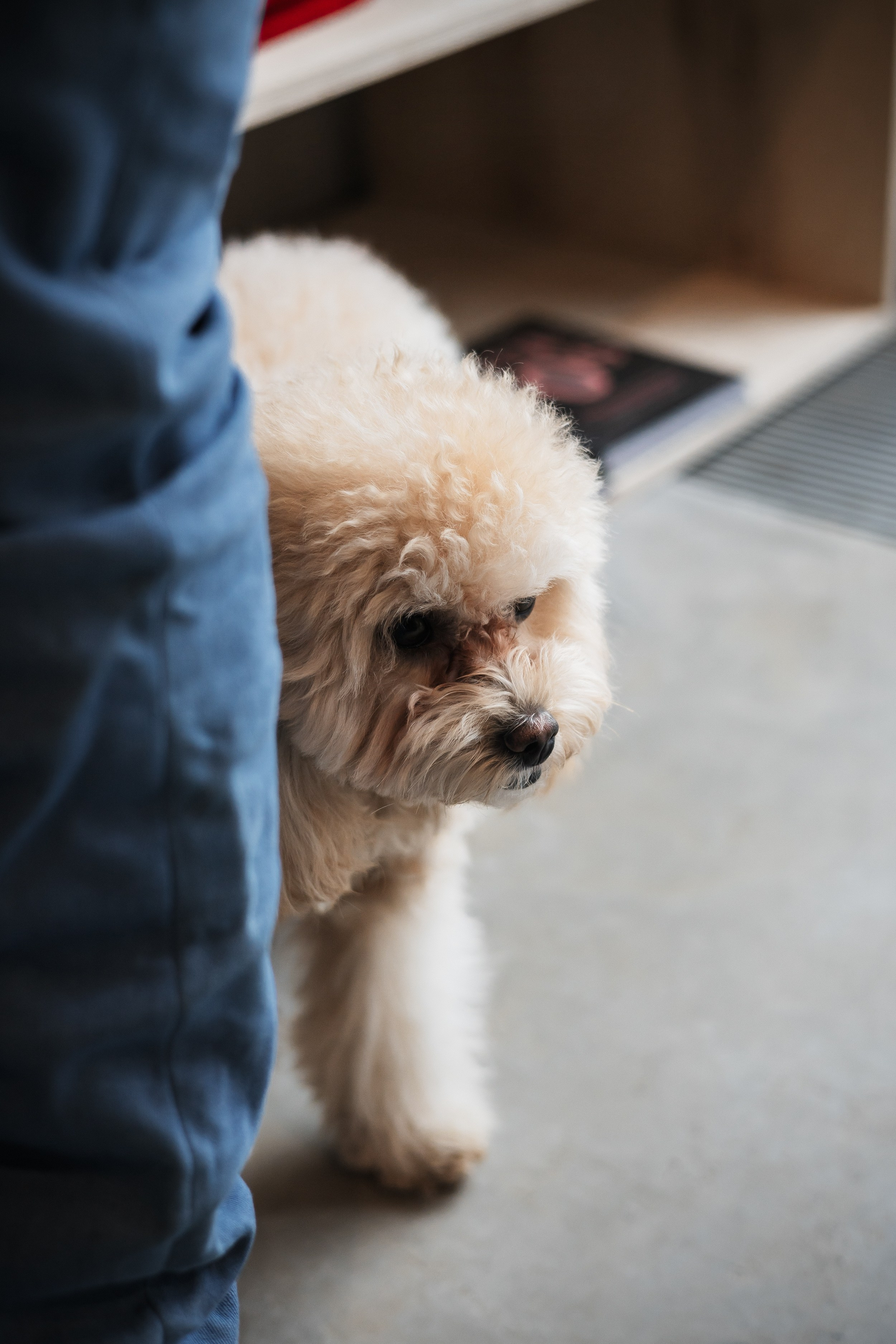 Алина — прогулка