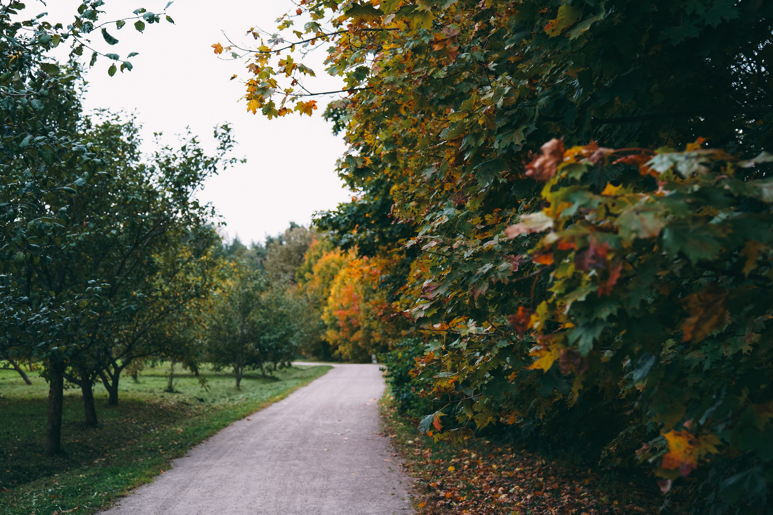 Осень 2025. Фотограф из Москвы — DASHA NOVA | Авторская фотография в разных жанрах