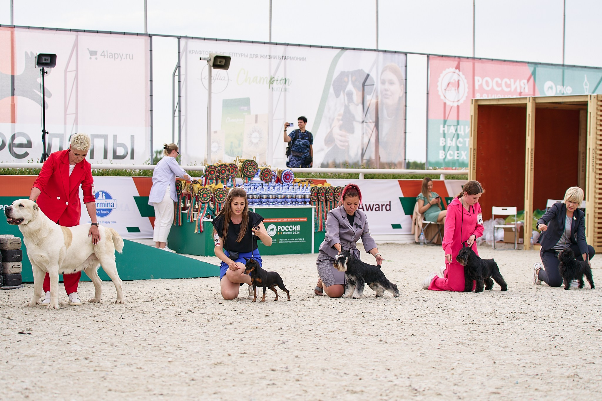 09.06.2024, «РОССИЯ. КУБОК МОСКВЫ 2024 & КУБОК ГОРОДОВ-ГЕРОЕВ»