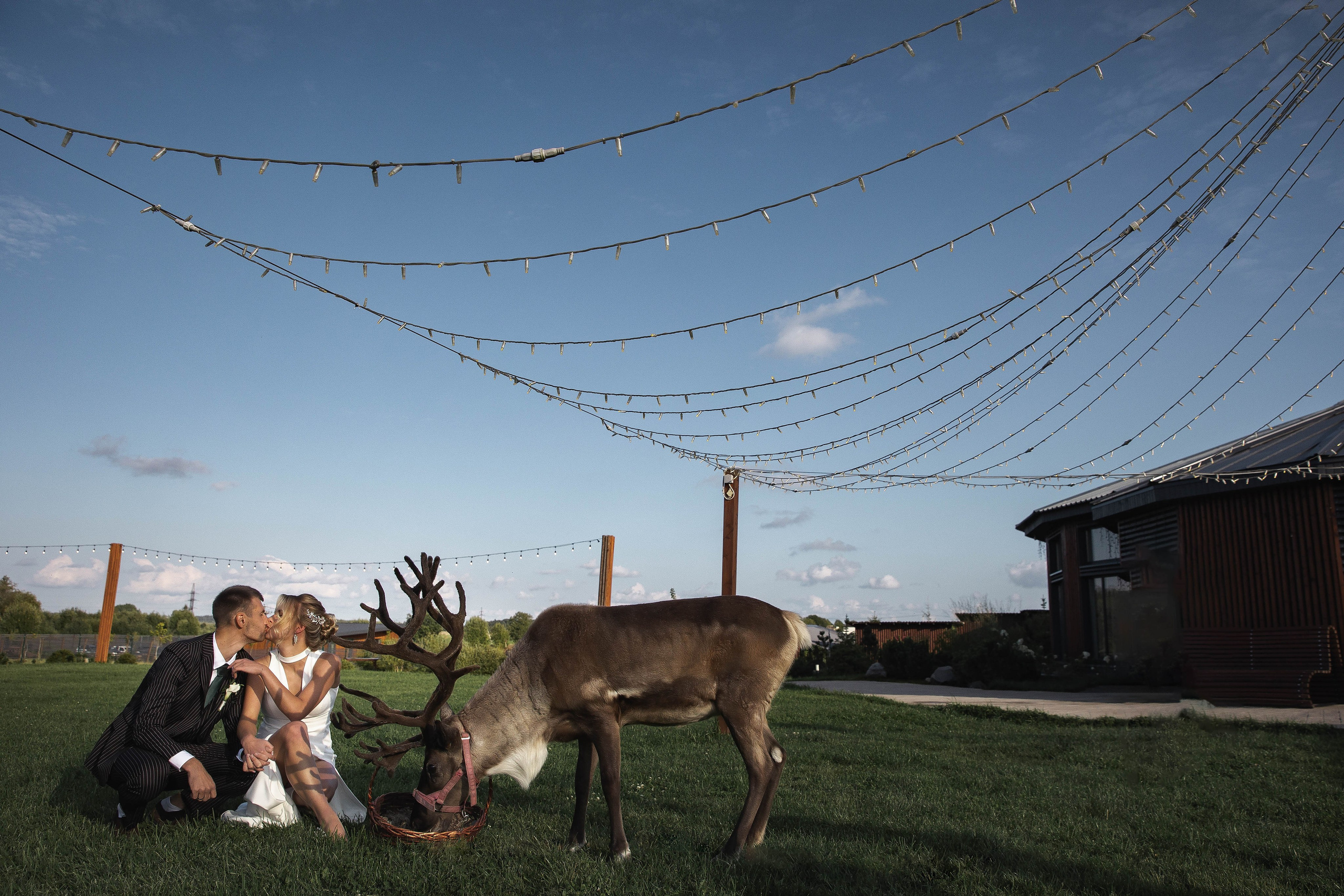 Фотосессия жениха и невесты, свадебный фотограф спб, фотограф спб, фотограф питер, свадьба загородом, свадьба спб , организация свадьбы спб, свадебный фотограф спб 