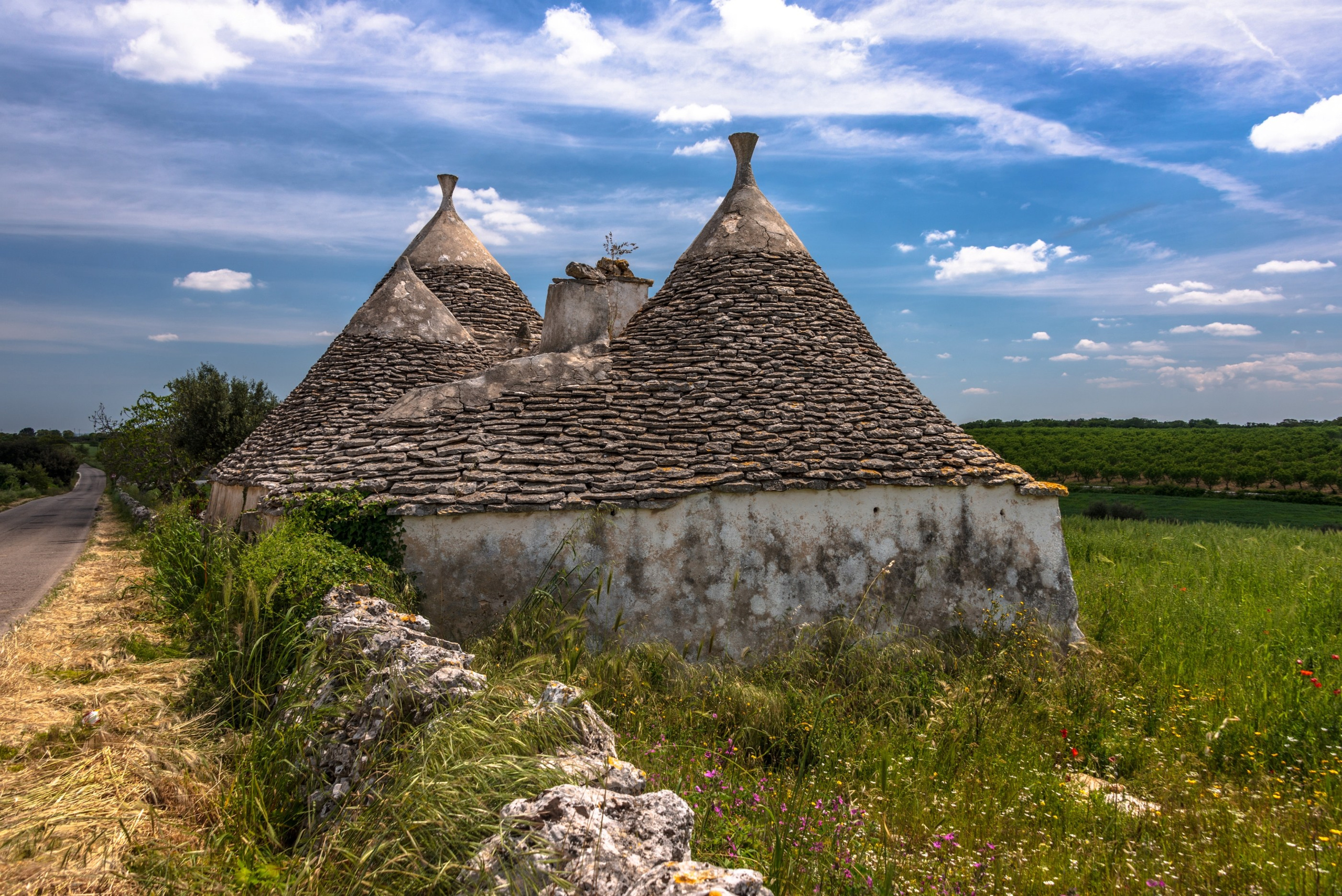 Италия Апулия Бари Альберобелло. Фотограф Лара Кучина