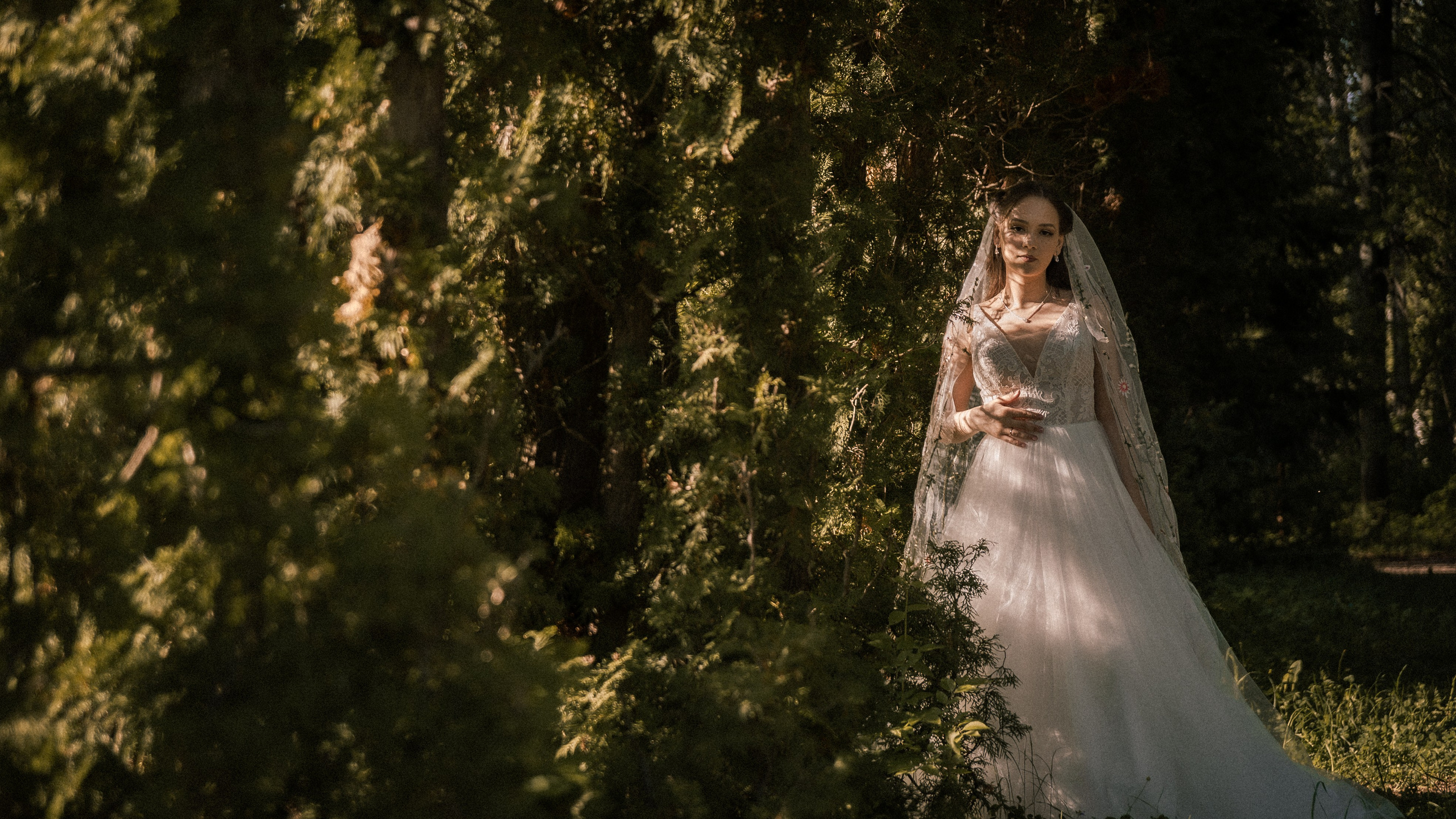 Алина и Арсений. Фотограф и видеограф Андрей Кукишев