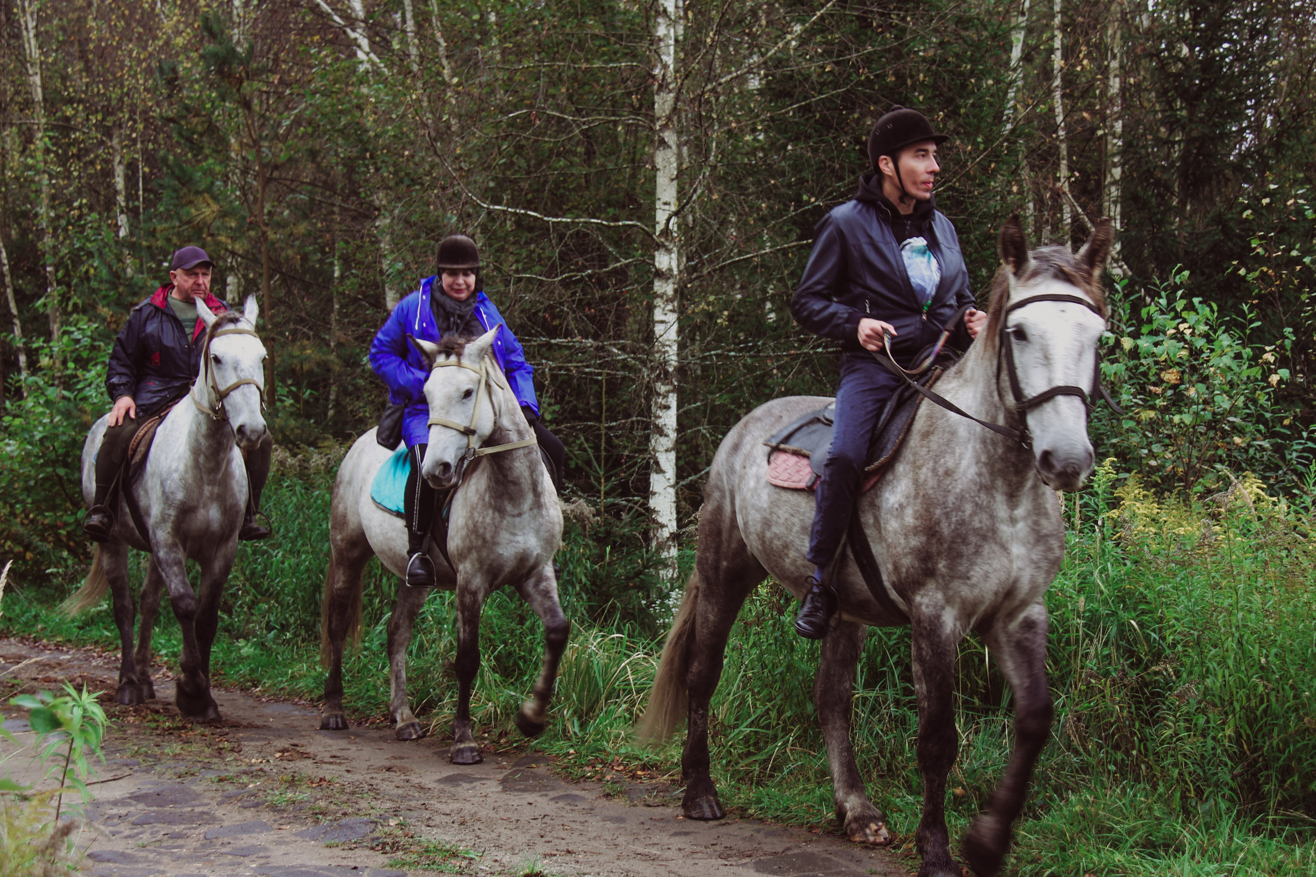 Лошадинг | 27.09.2025. Галерея Фантим