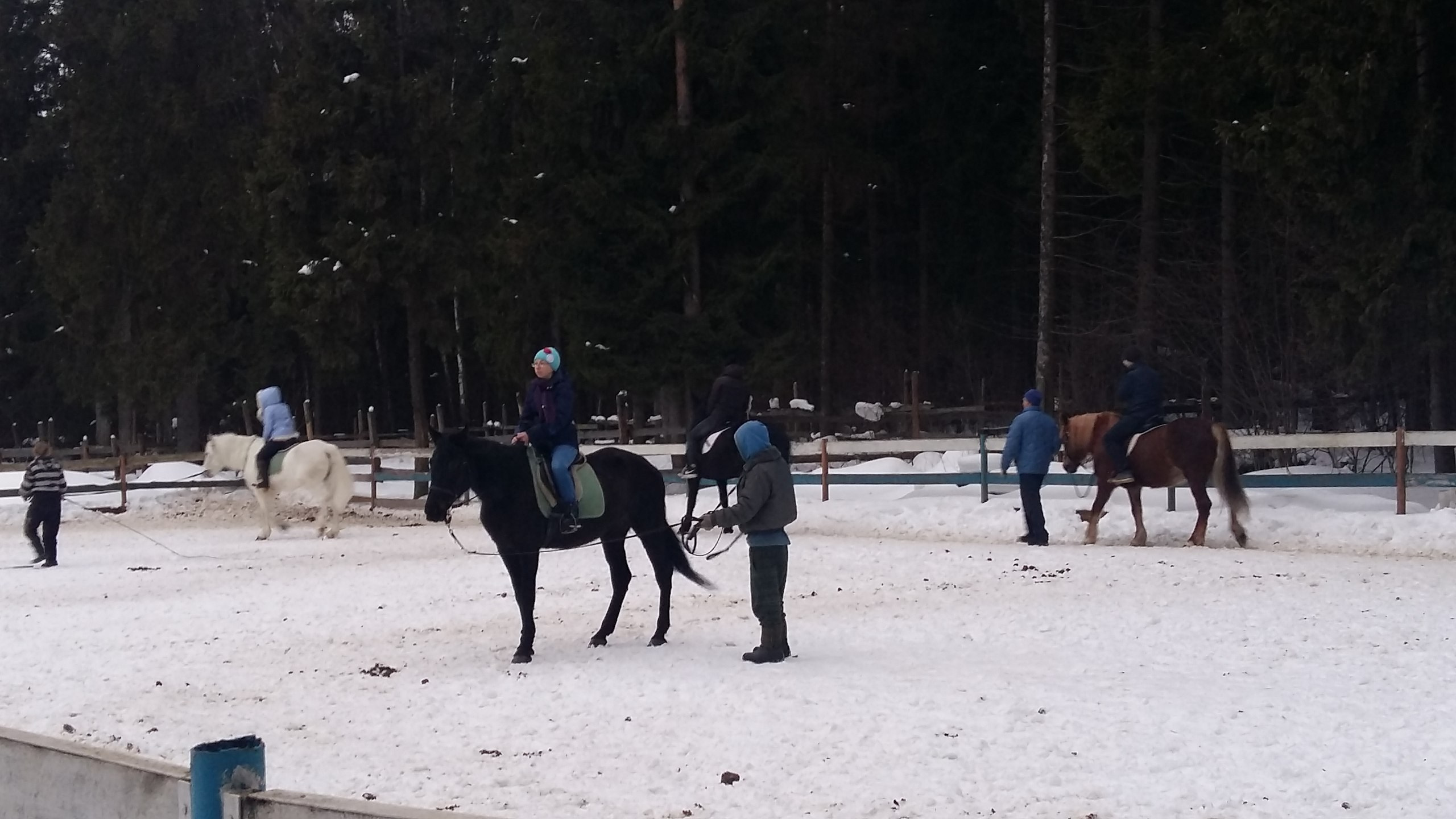 Активные выходные |18-19.02.2017. Галерея Фантим