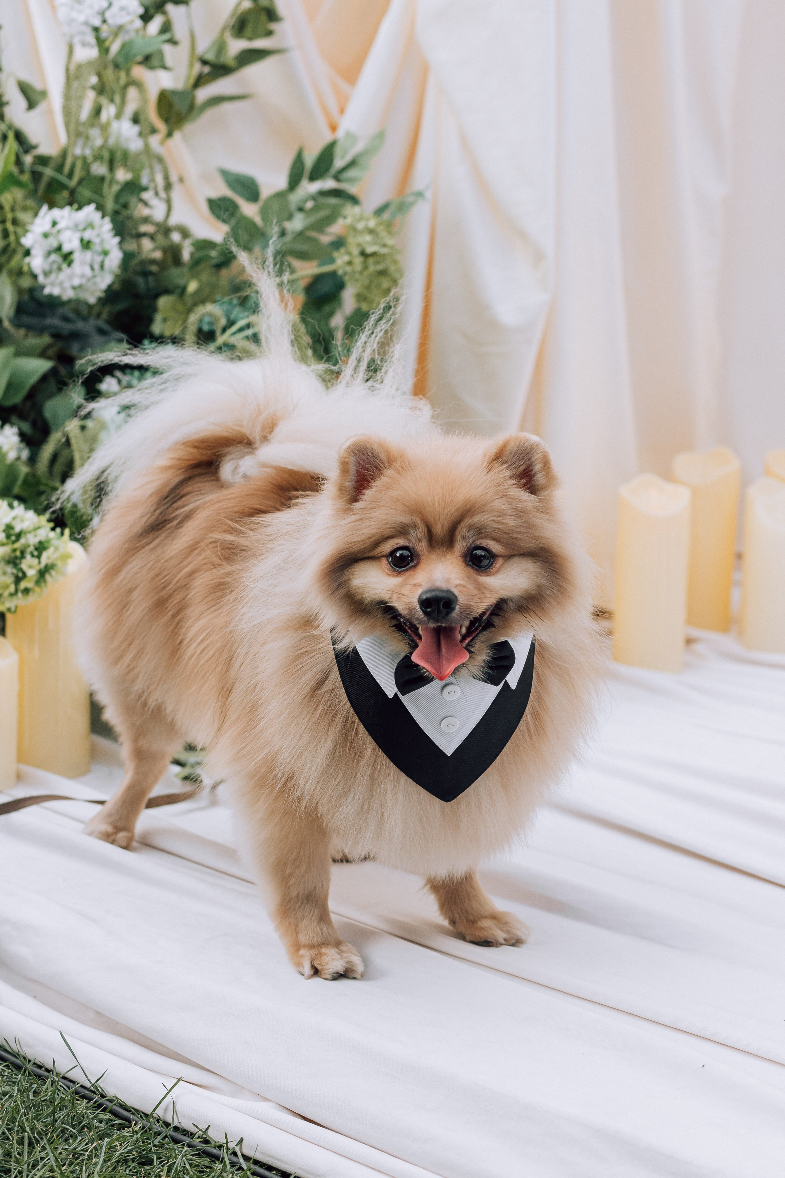 16.09.2025. Свадебный фотограф Краснодара Александр Кулагин